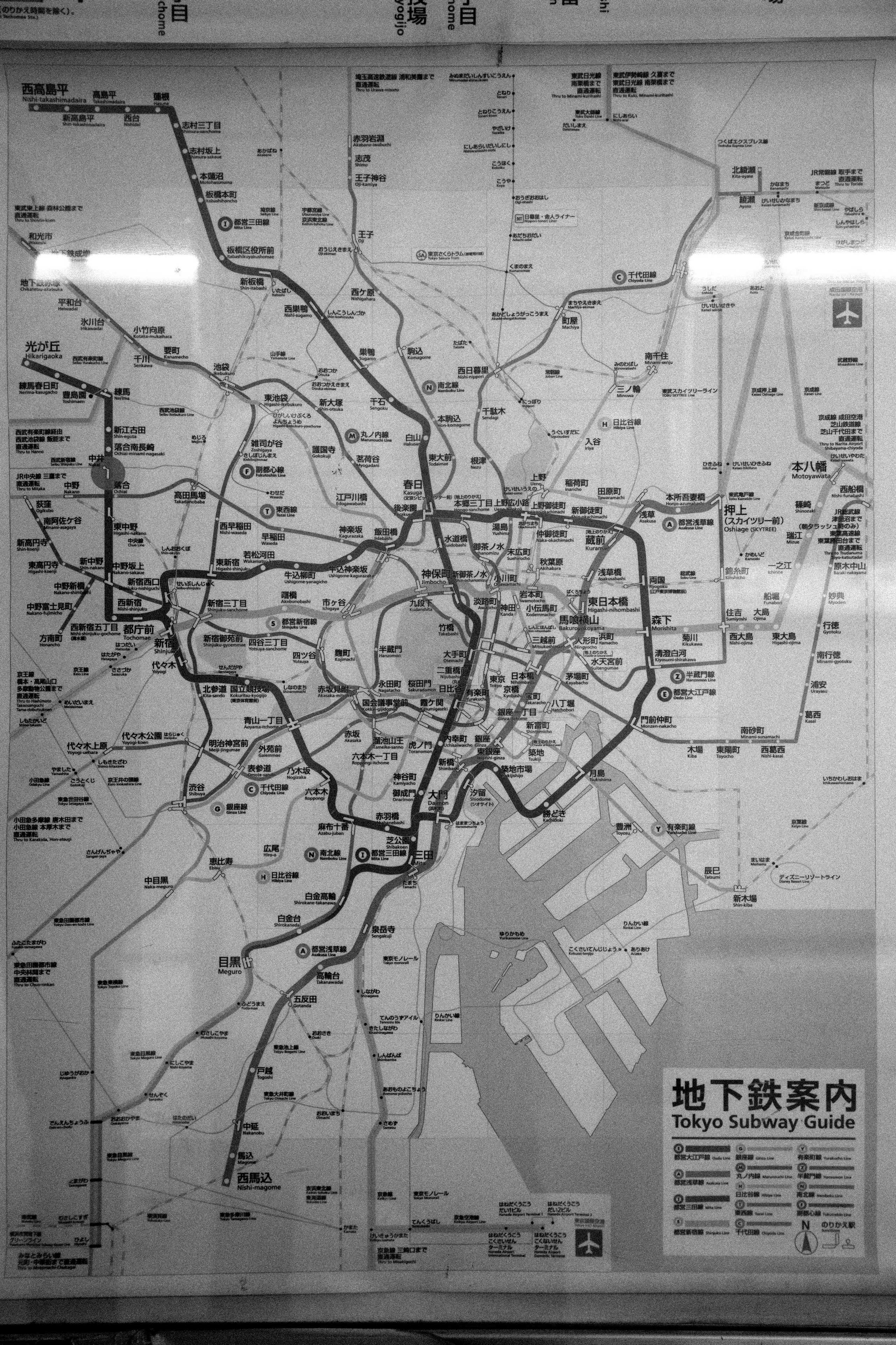 Art portfolio. AleSeeva