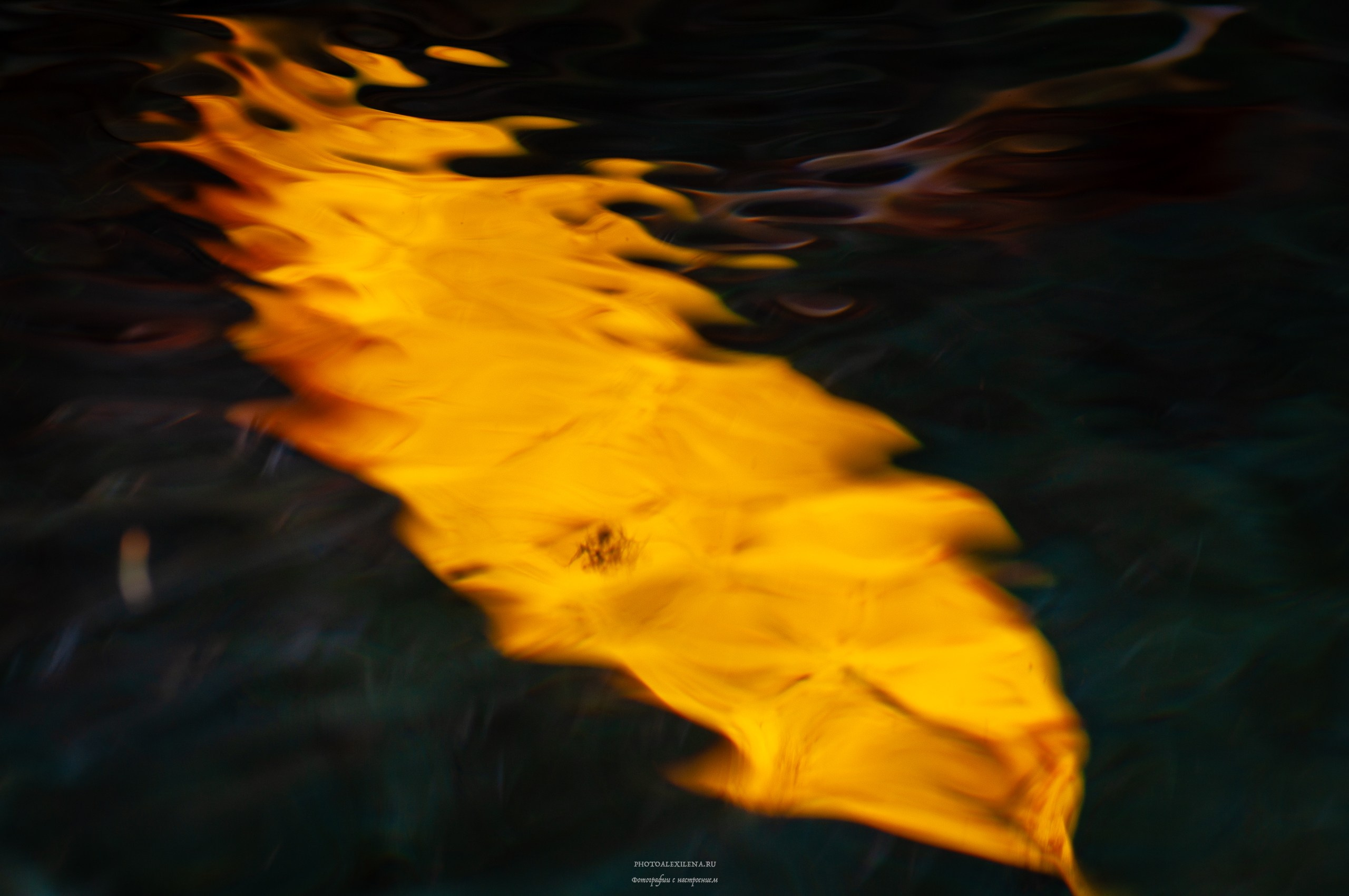 Отражение в воде. Авторские стильные фотокартины