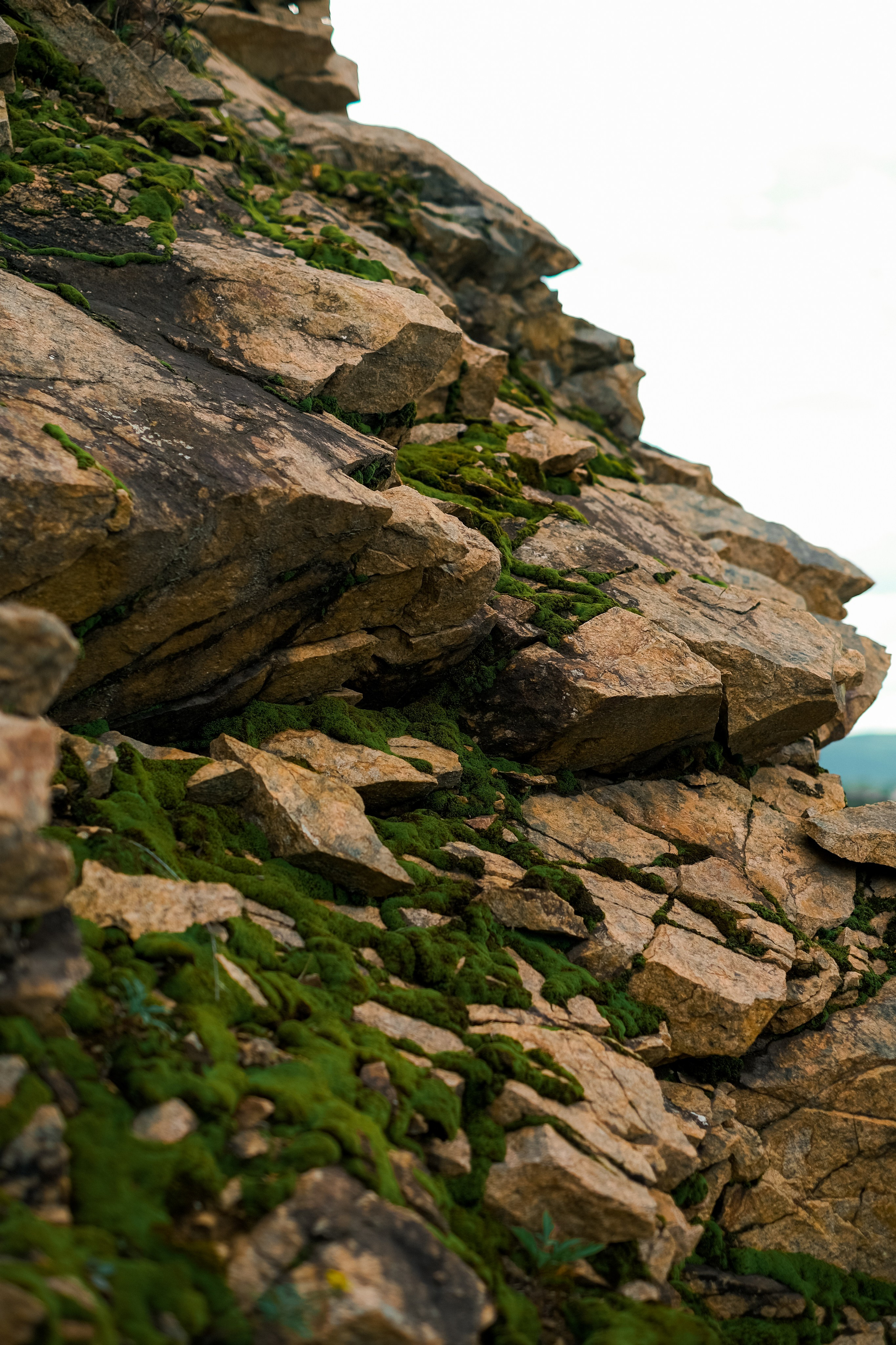 Аня. Фотограф Благовещенска Яна
