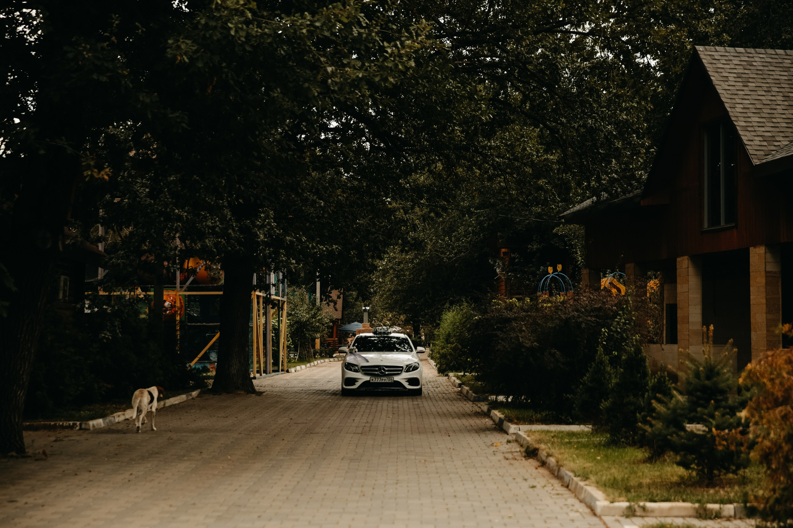 Ангелина и Рома (Свадебный шатер «это по любви»). Катерина Макиева