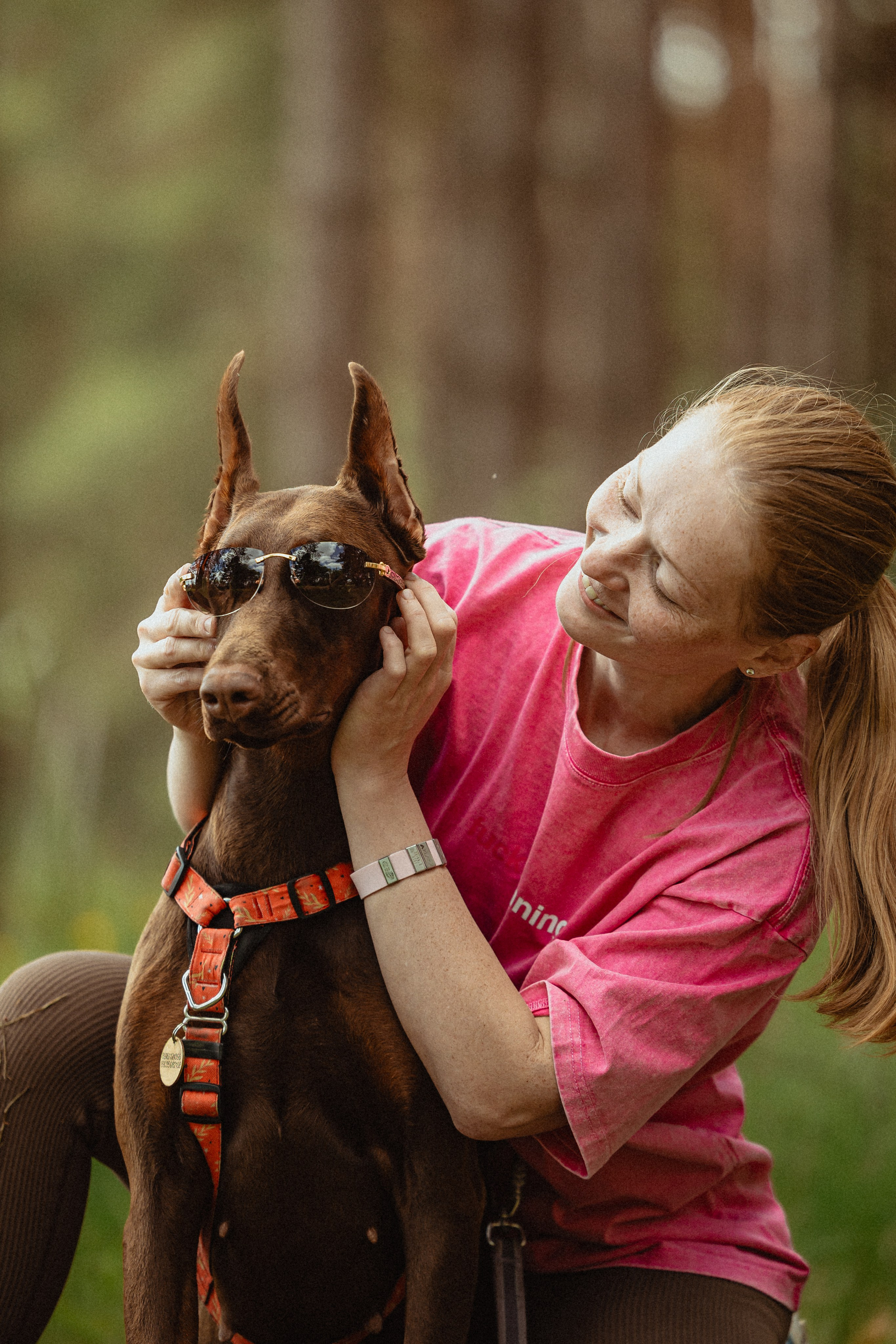 Выездной дог-тренинг от школы «Шерсть имею»