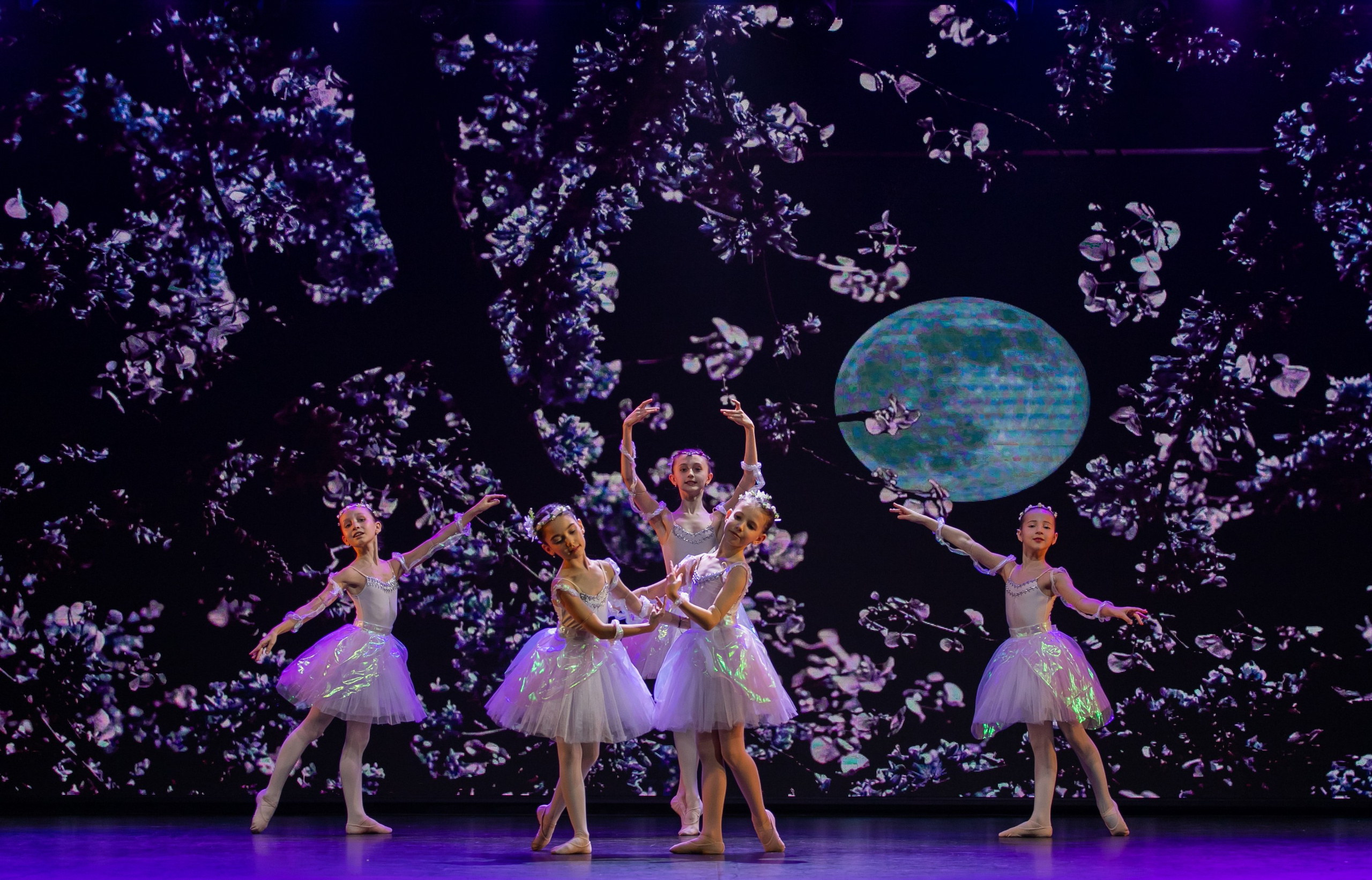 Концерты, сцена. Портретный фотограф в Санкт-Петербурге Катя Протасевич