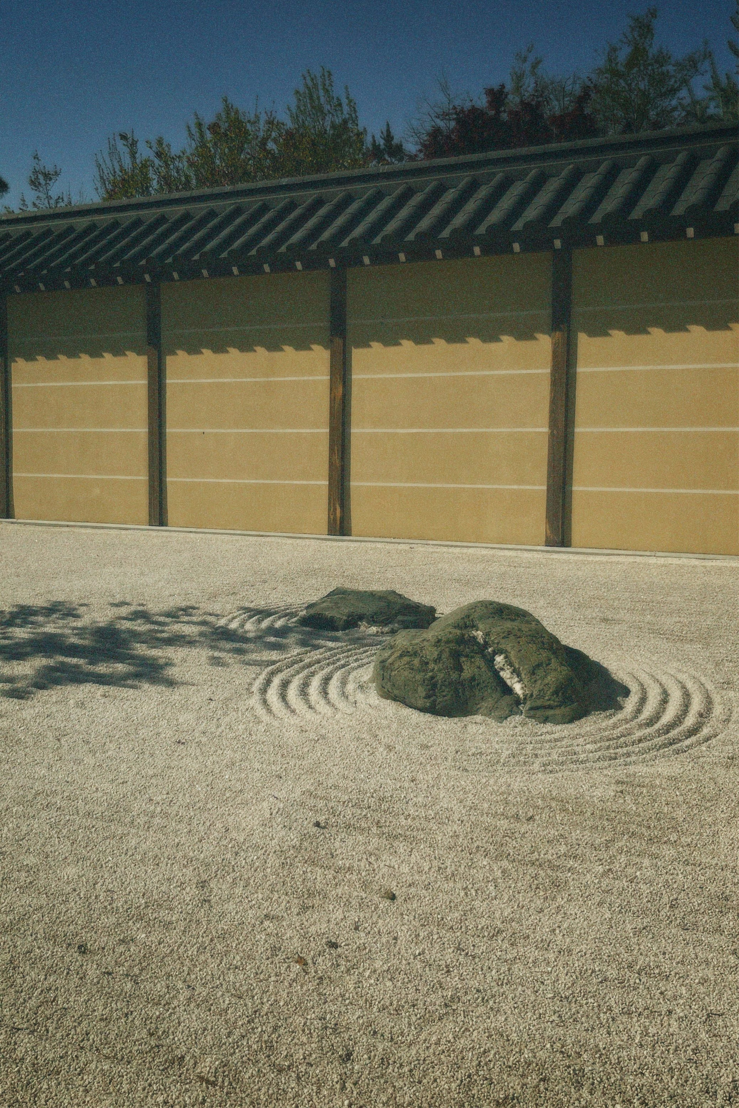 КРАСНОДАР. Портретный и лавстори фотограф в Стерлитамаке Альбина Шарт