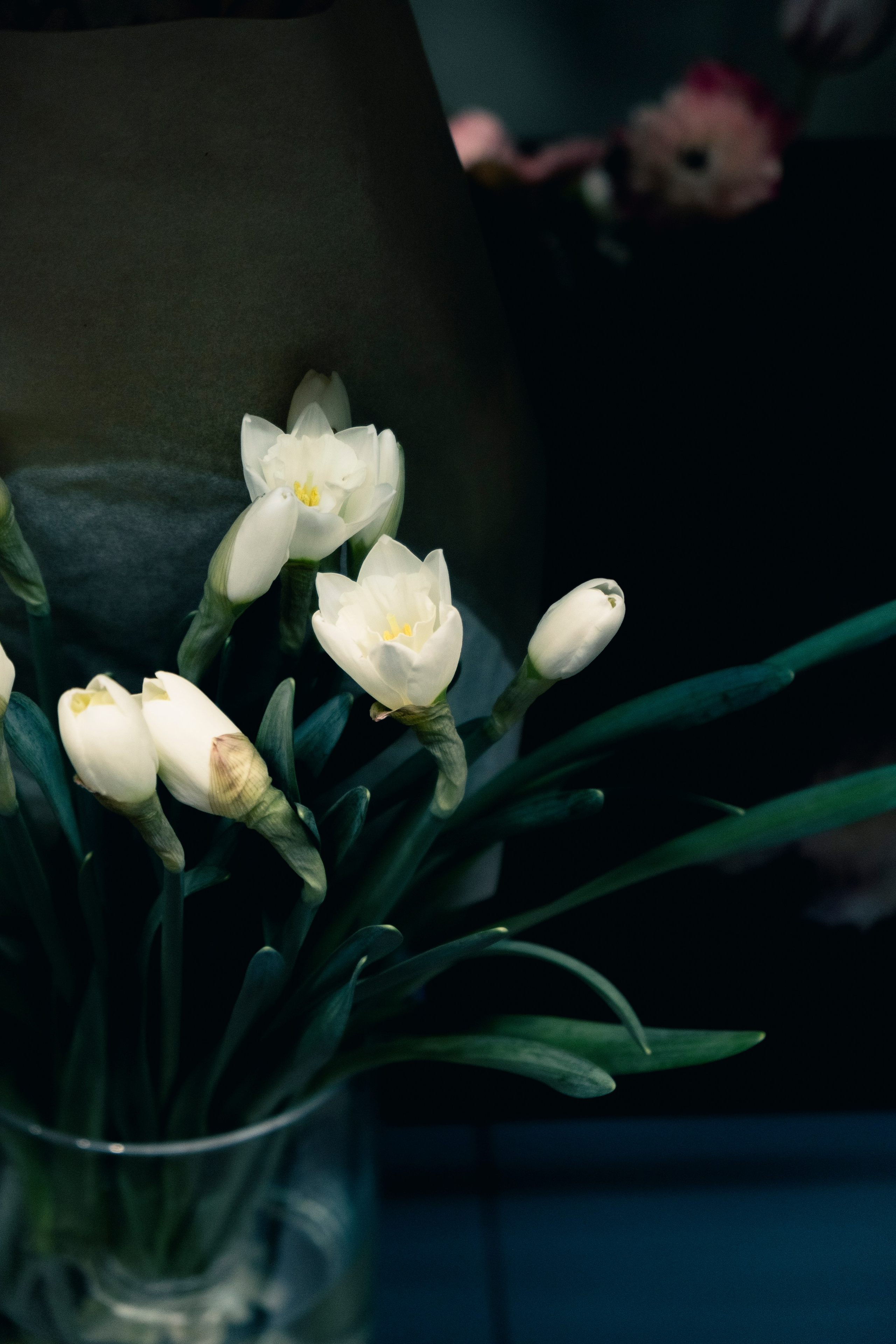 Контент-съемка. Портретный и fashion-фотограф в Санкт-Петербурге Олеся Поле