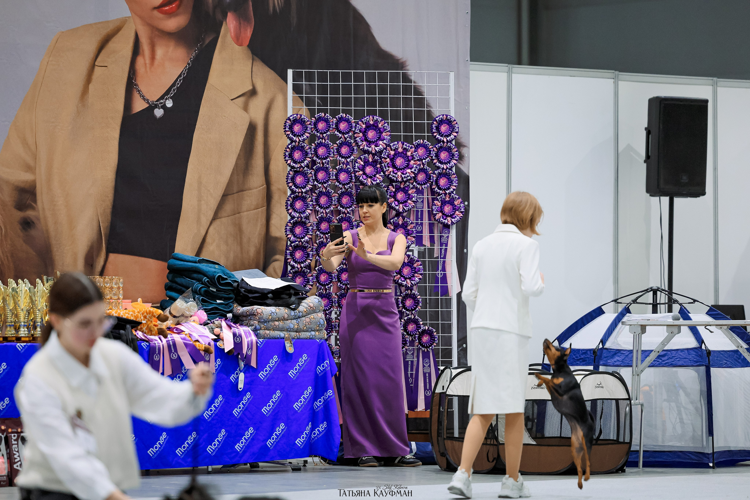 28-29.03.2026 Рейтинговая выставка в Новосибирске. Фотограф Анималист из Новосибирска Татьяна Кауфман