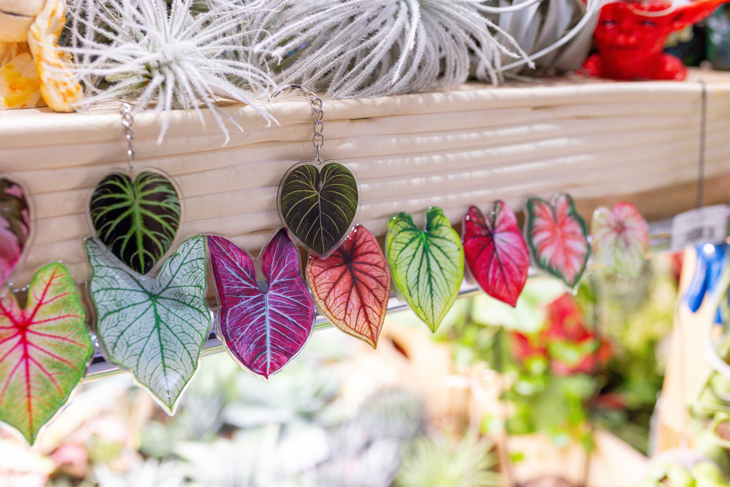 Монстериум 11–12 октября. Александра Куликова фотограф, Москва