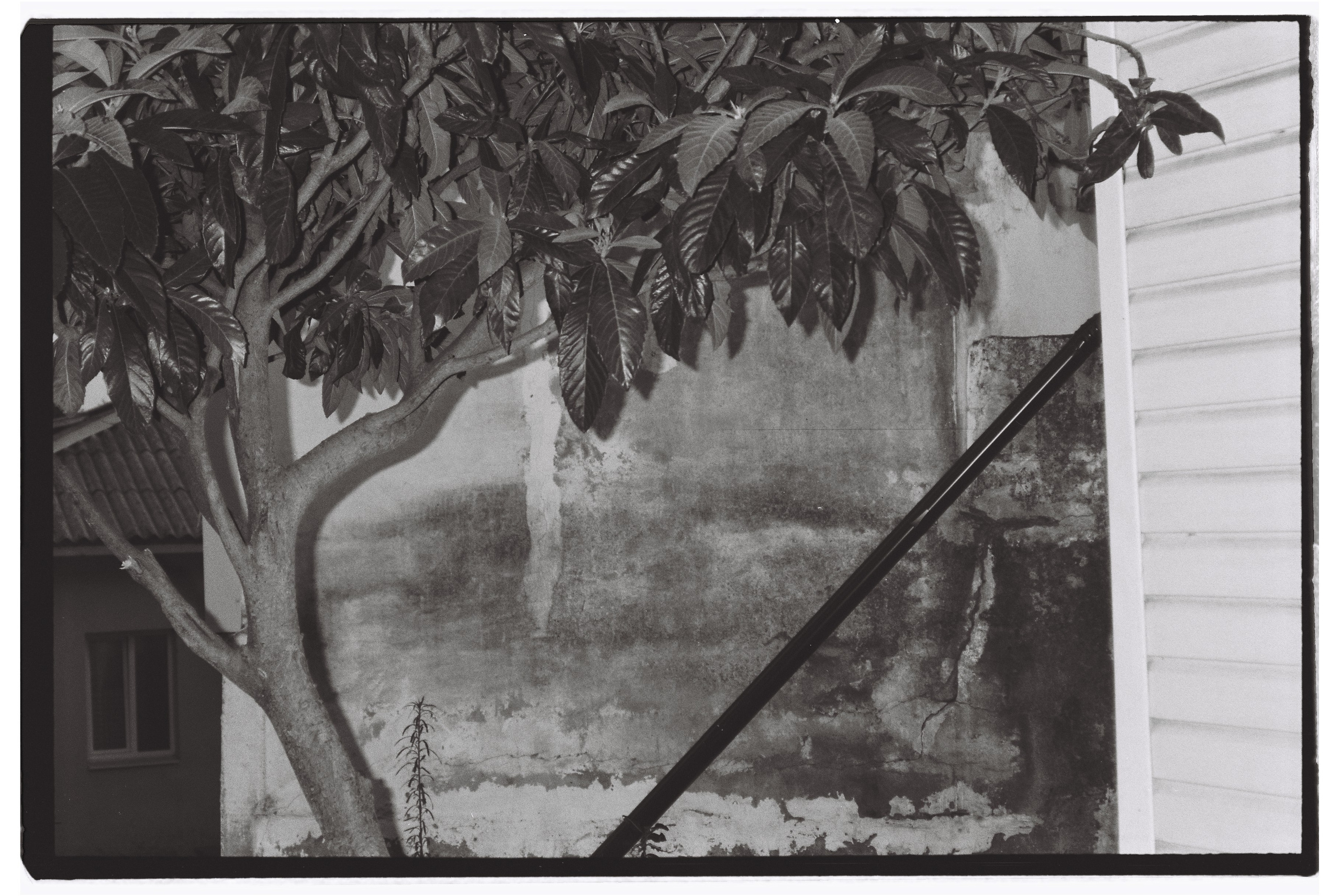 Пленочная фотография. ТАТИ | Татьяна Тихонова | фотограф | Тольятти Самара