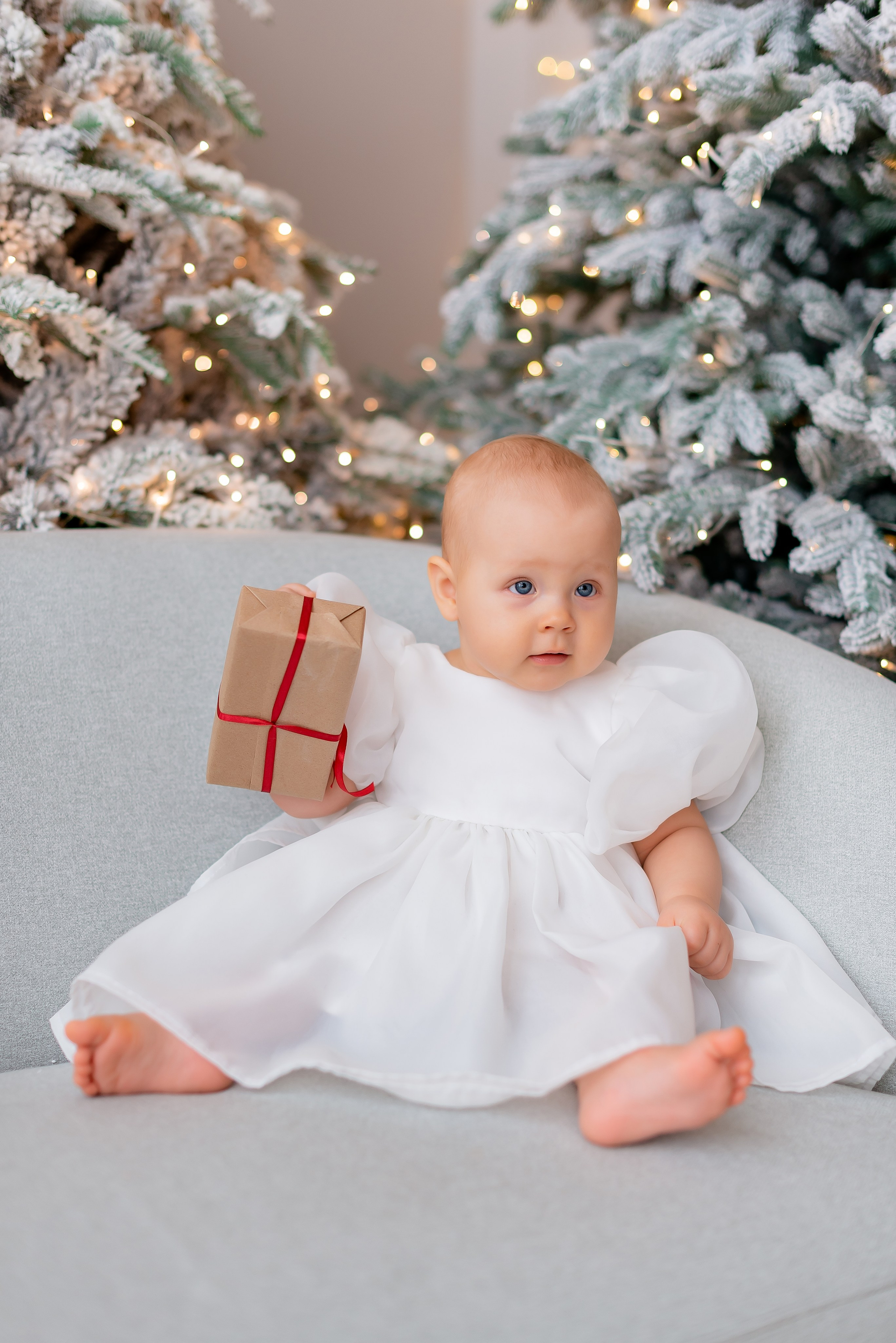 Новогодняя студия Скандибек. Фотограф Татьяна Иванчикова