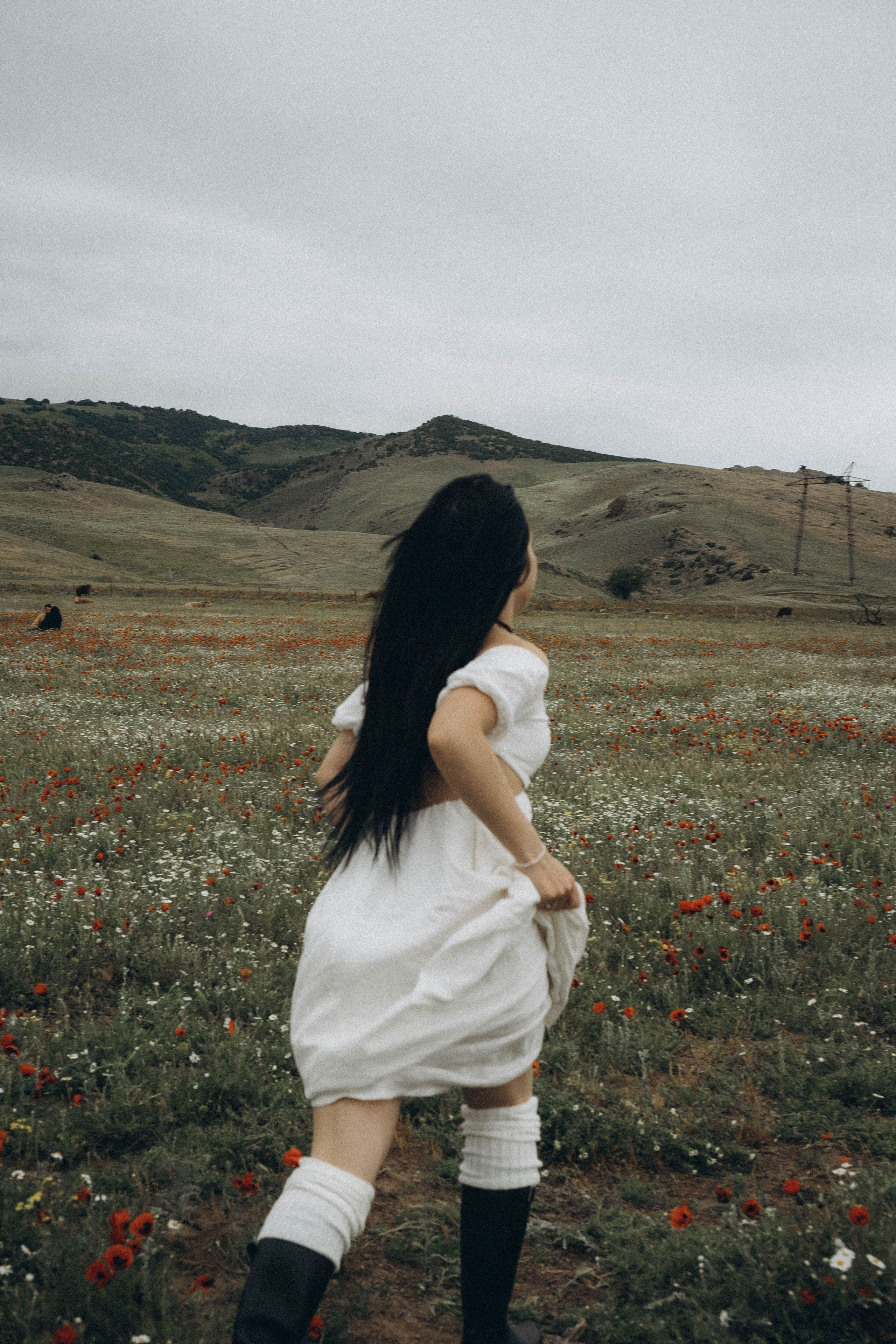 Маковое поле. Профессиональный фотограф, Санкт-Петербург — Виктория Богомолова