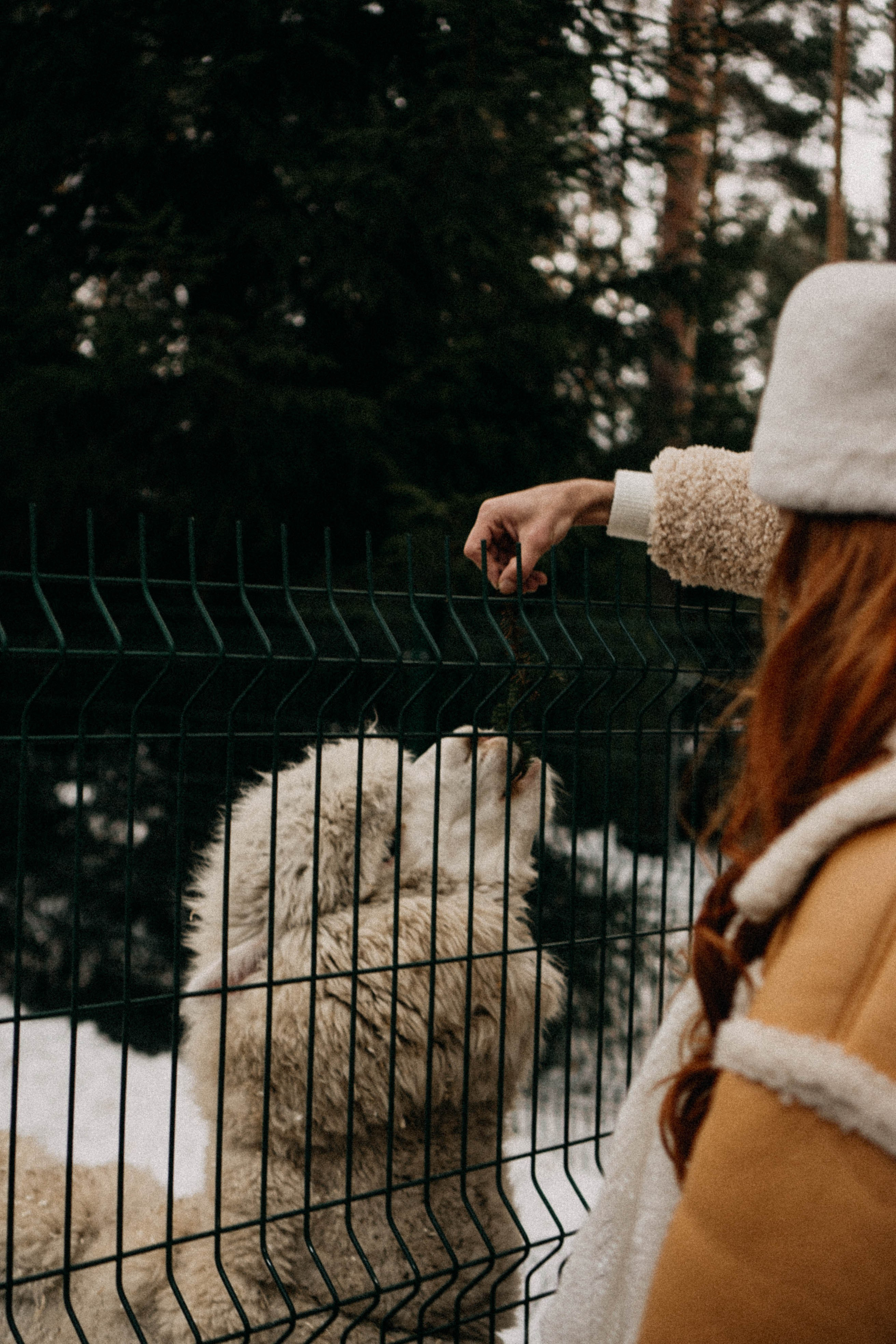 Каток. Профессиональный фотограф, Санкт-Петербург — Виктория Богомолова