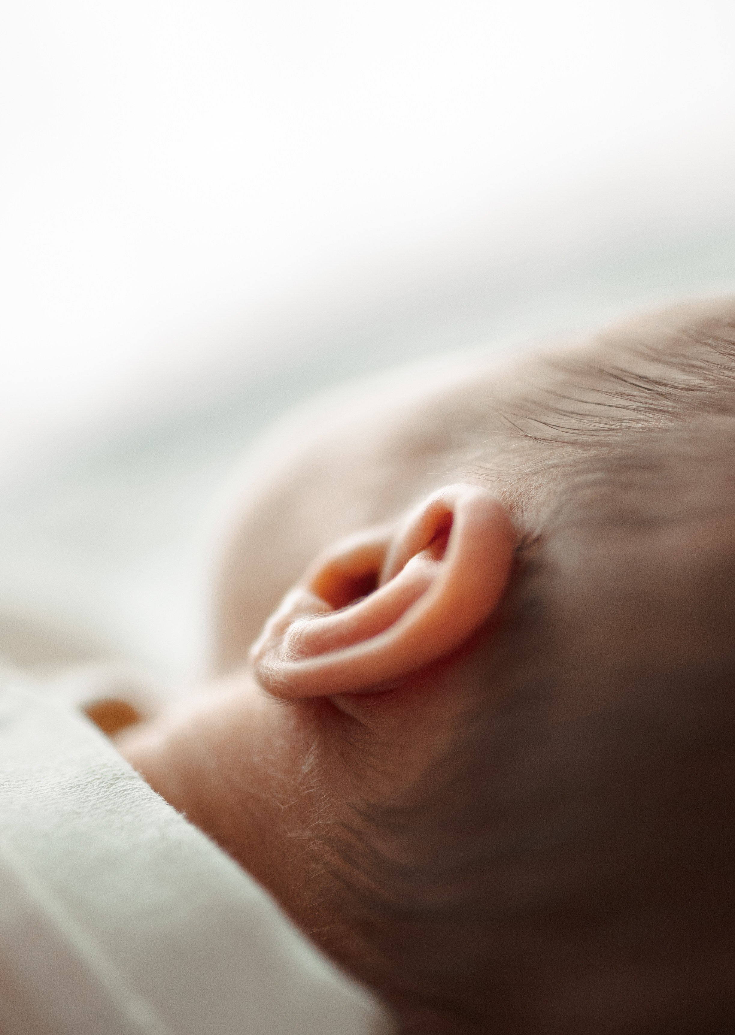 Савва. Семейный и детский фотограф в Щелково Алена Дробот