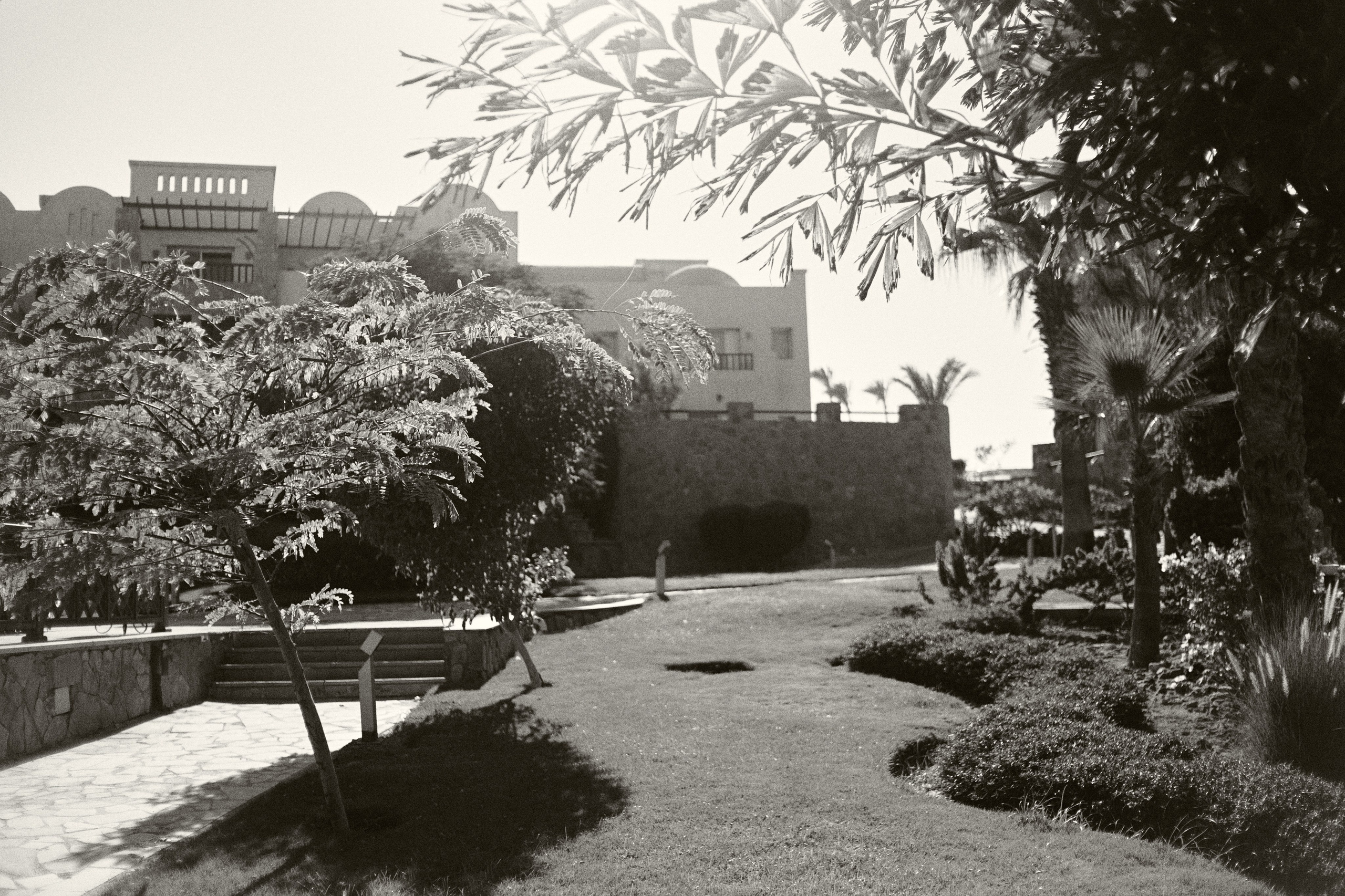 B&W. Jorgis — фотограф в Хургаде / обучение фотографии