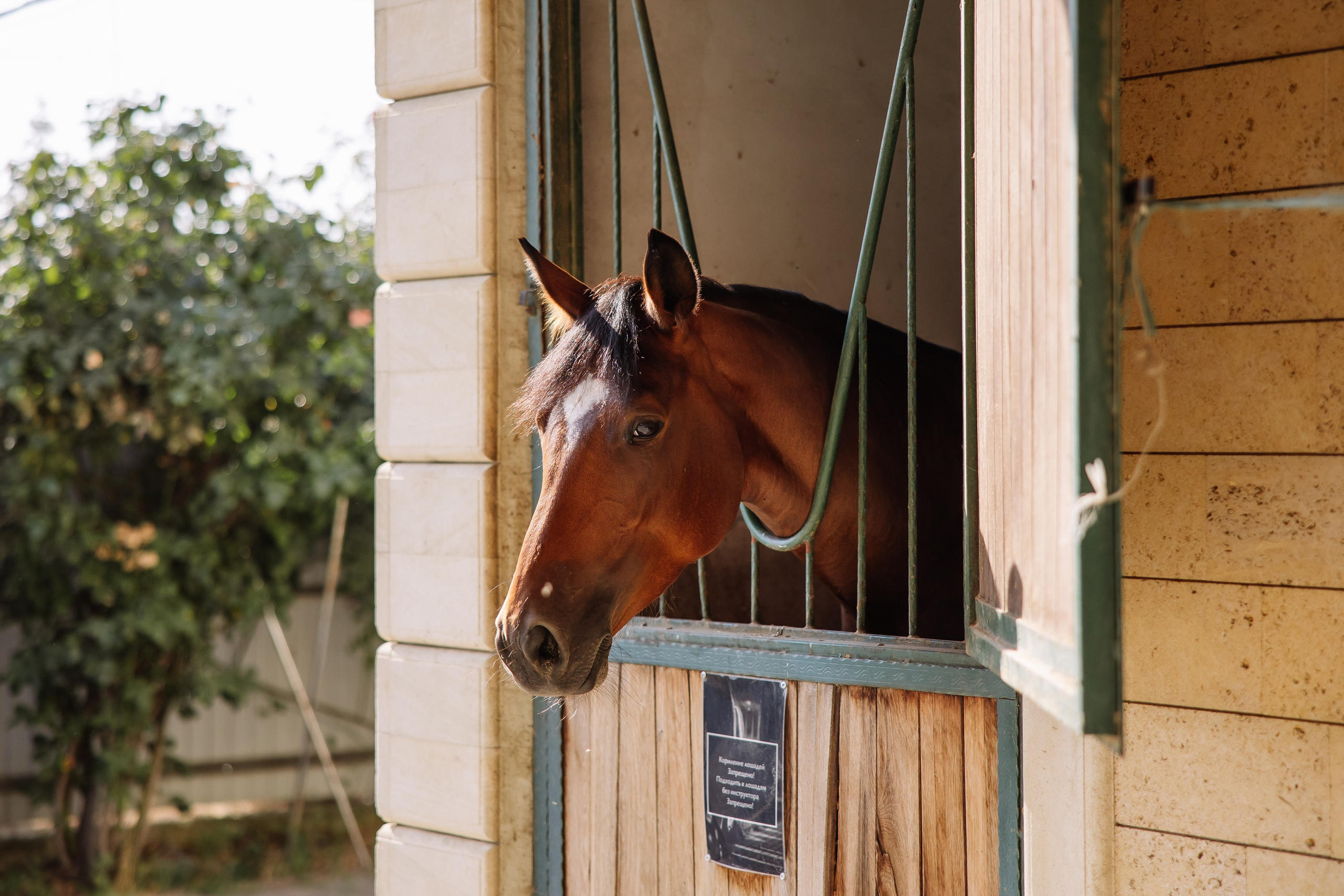Фотограф в Краснодаре