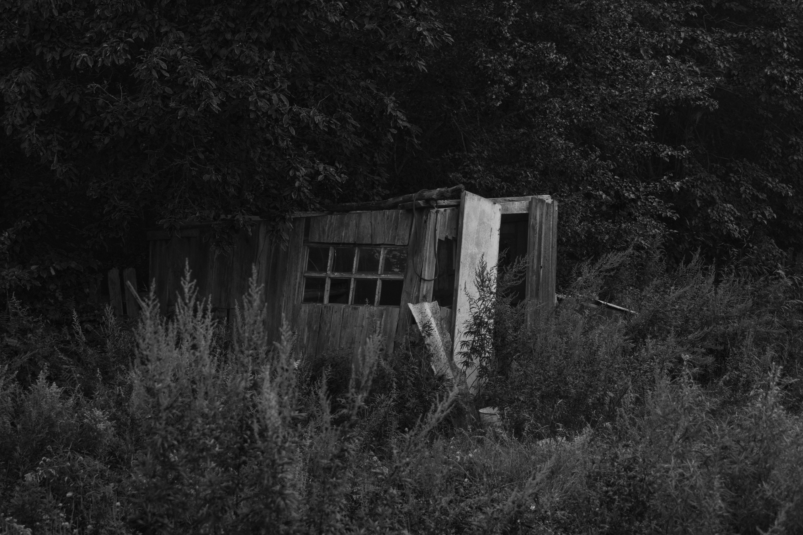 Abandoned. Портретный фотограф во Владивостоке Елена Шкурко