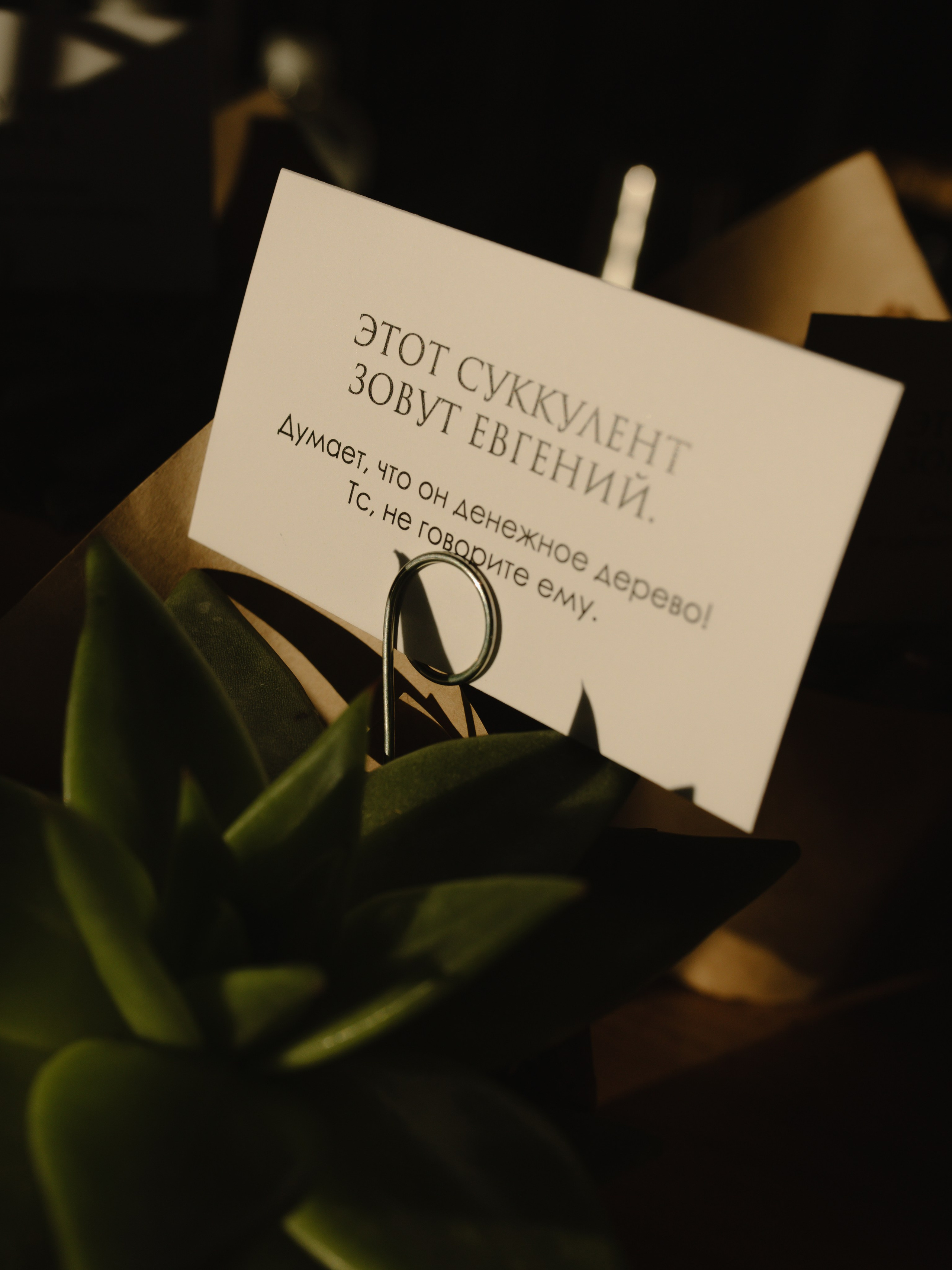 Денис & Катя. Свадебный фотограф Москва и Подмосковье