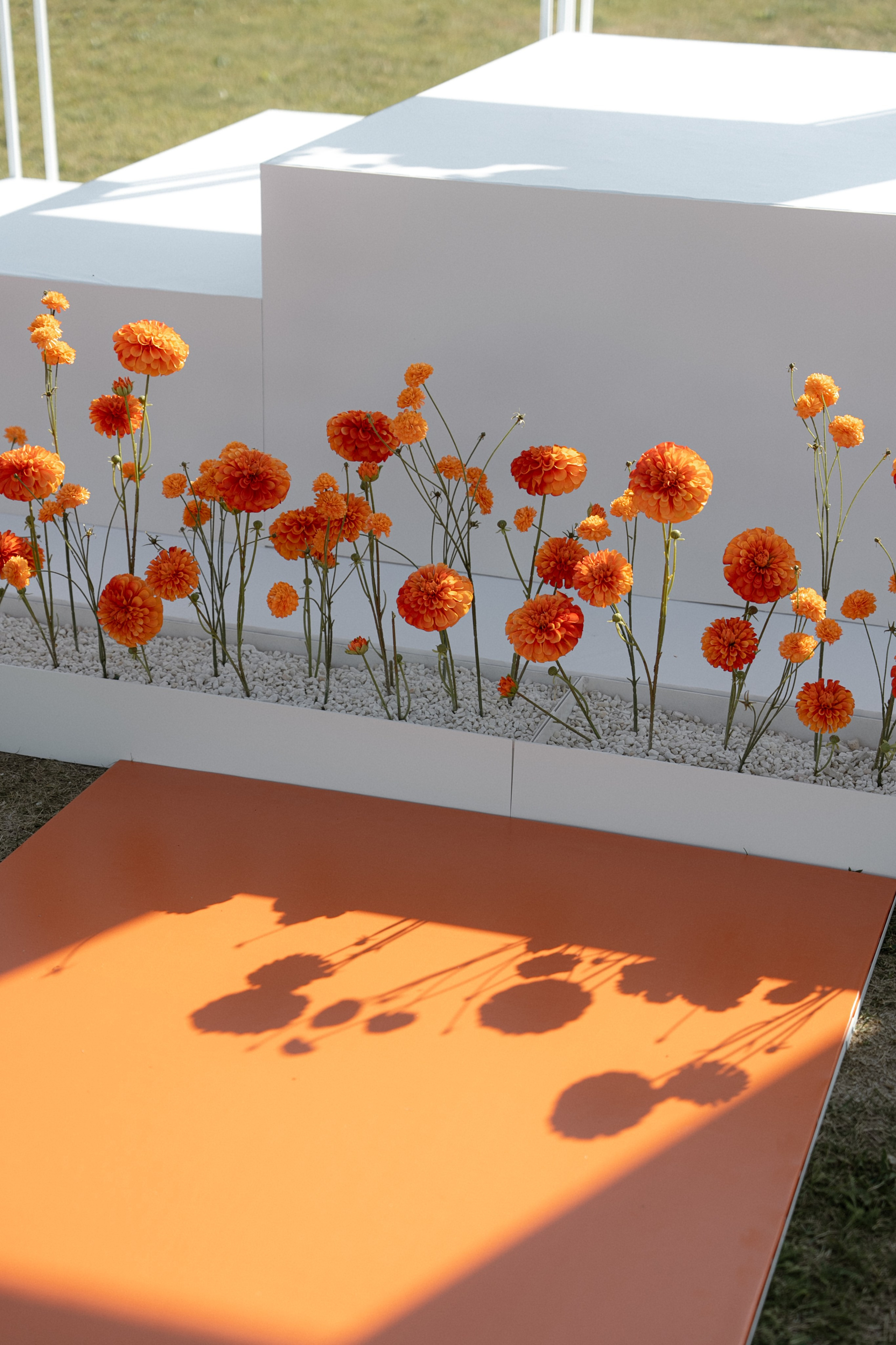 Karina+Danya. Семейный и портретный фотограф в Саратове Сахарова Маша