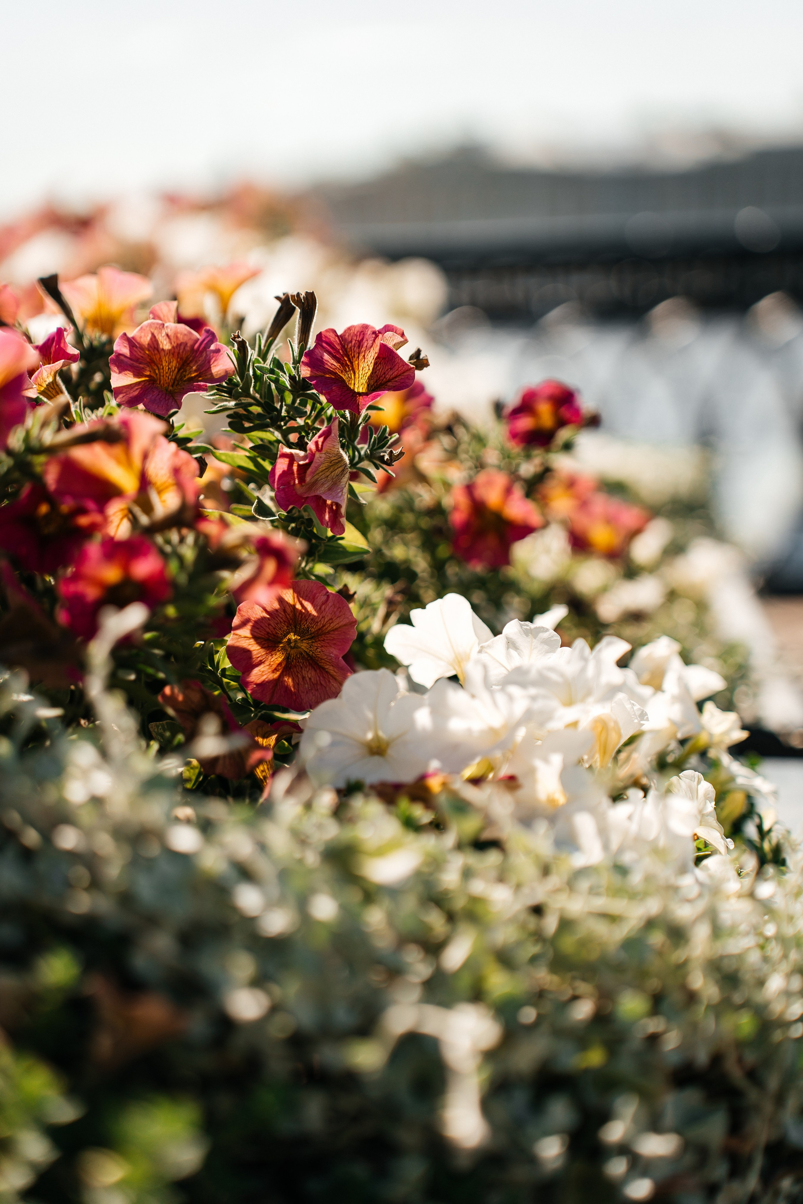 15.08.2025. Семейный фотограф в Санкт-Петербурге