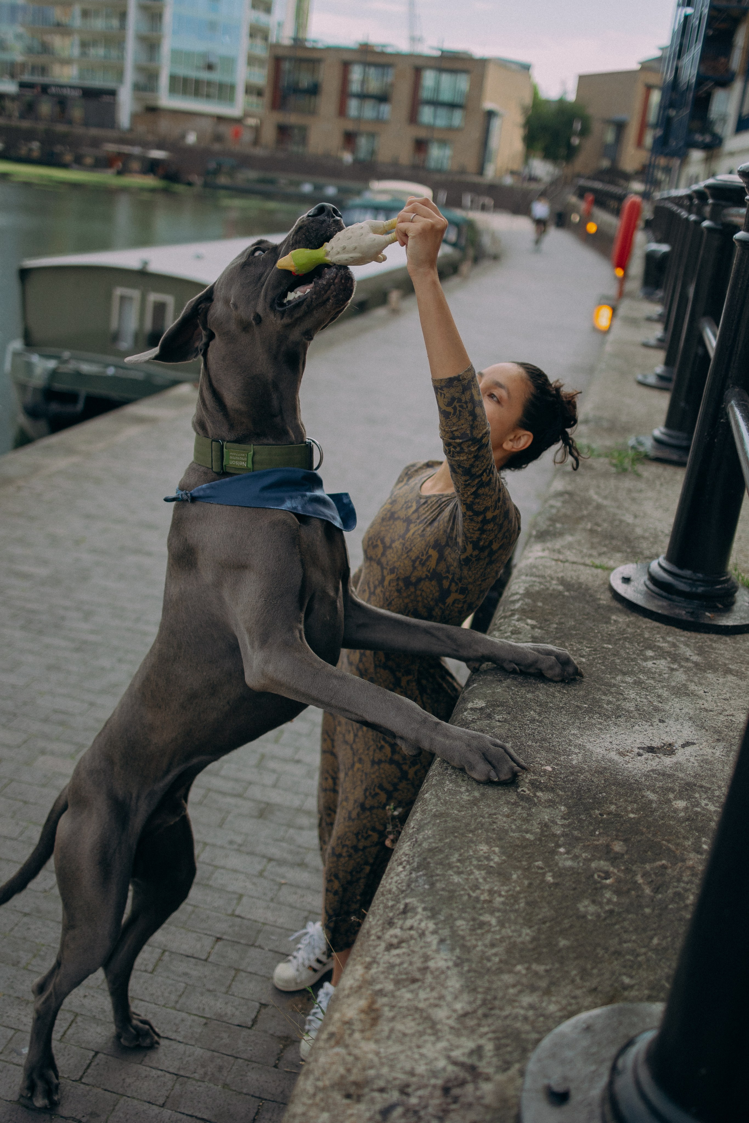Луиза и Нельсон. Фотораф — анималист Мария Шистка