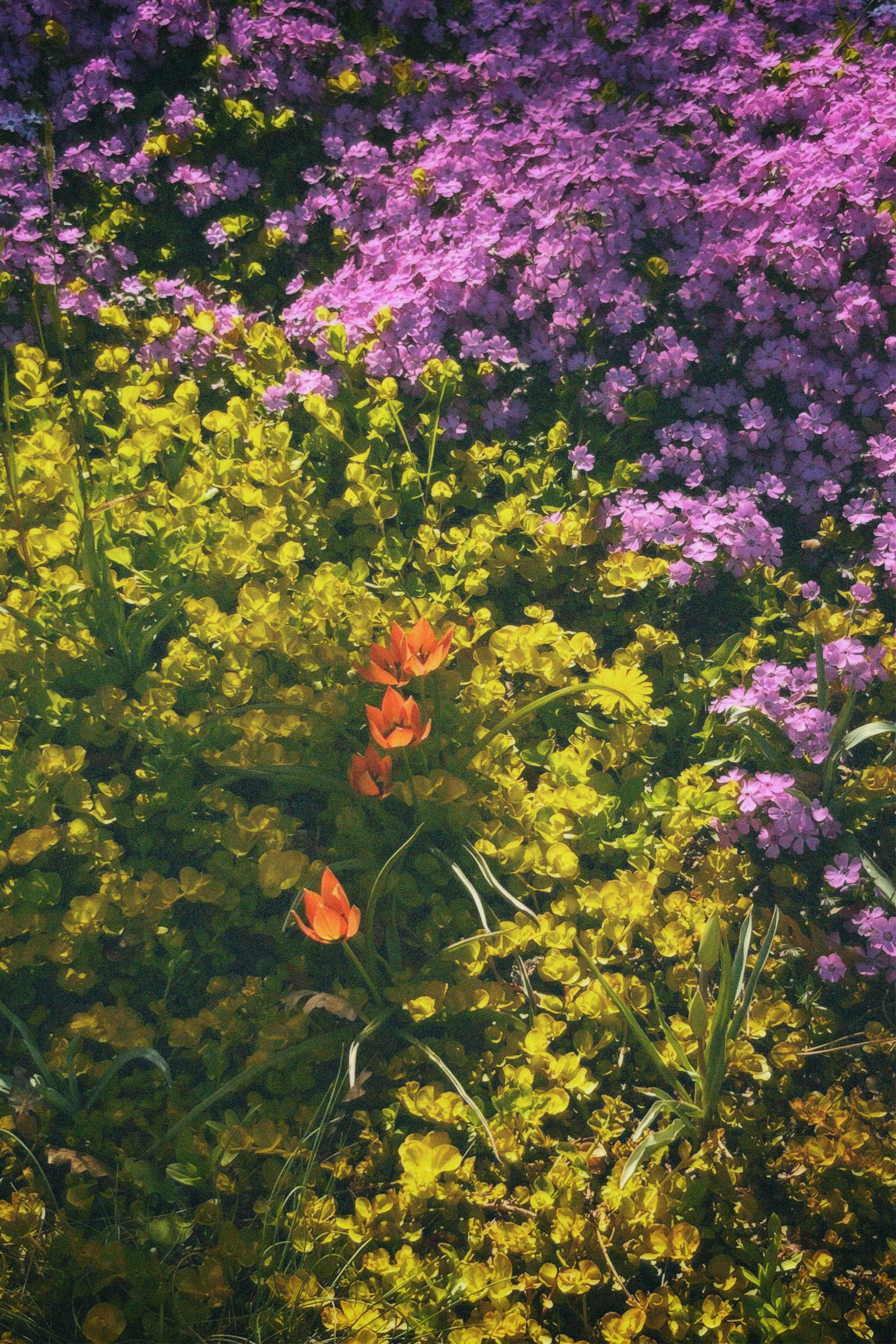 КРАСНОДАР. Портретный и лавстори фотограф в Стерлитамаке Альбина Шарт