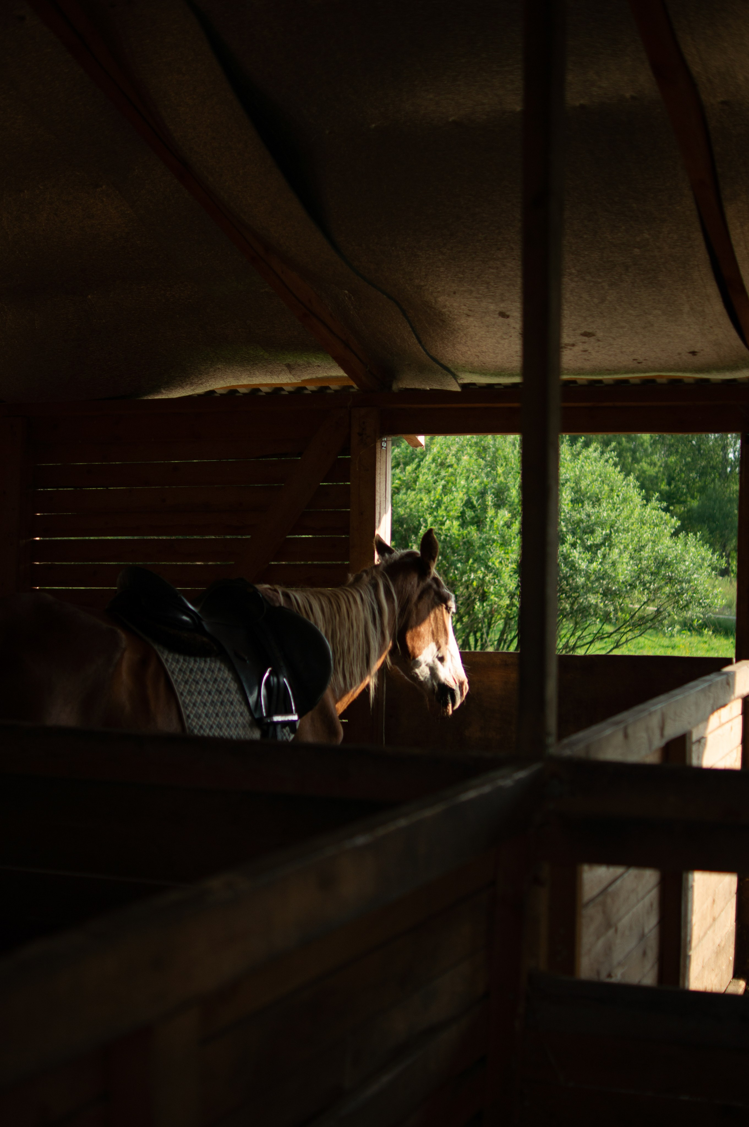 Григорий и Есения. Портретный фотограф Елена Ковалевская