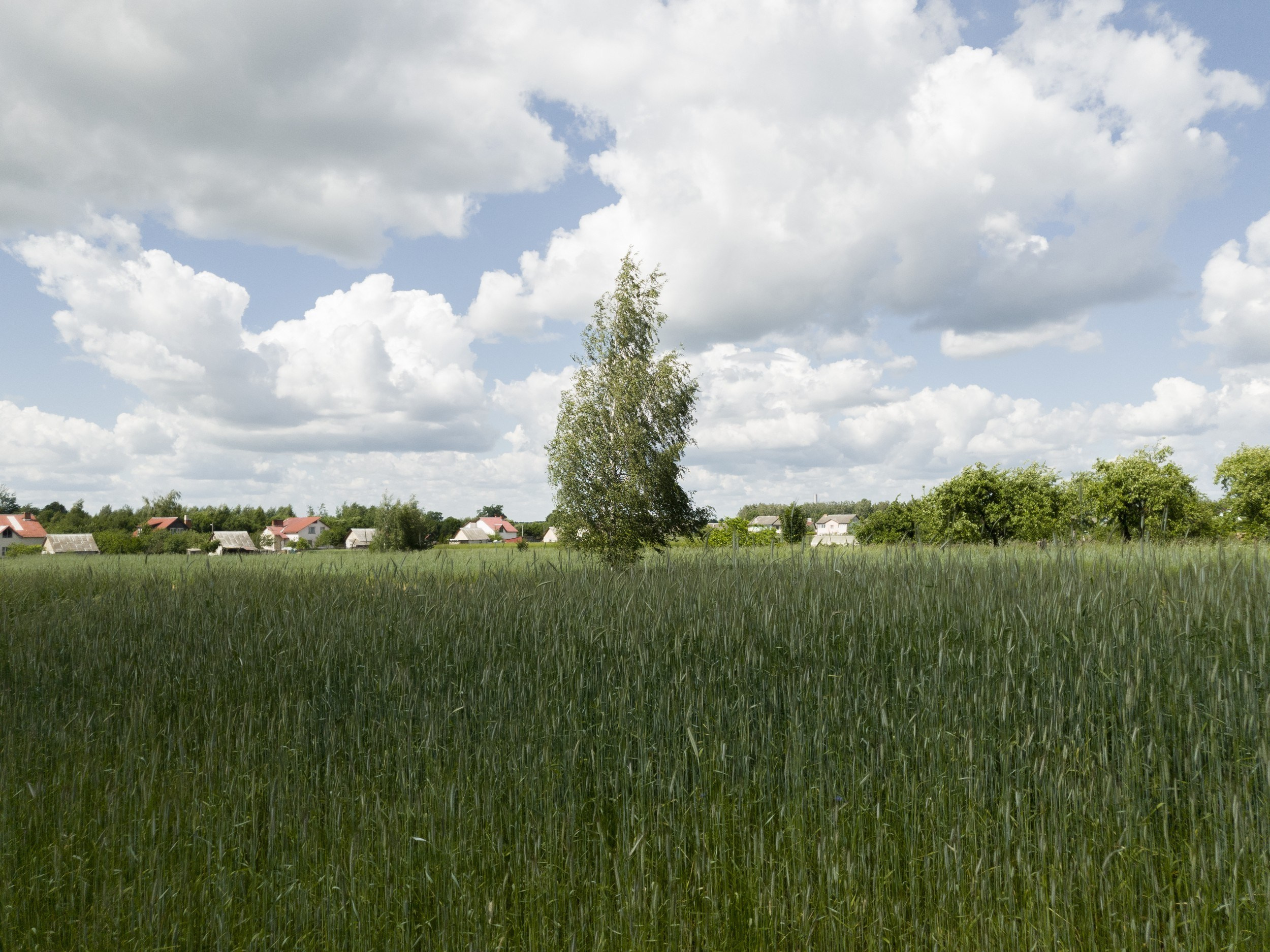 Home.land. Künstler Verstecktoff