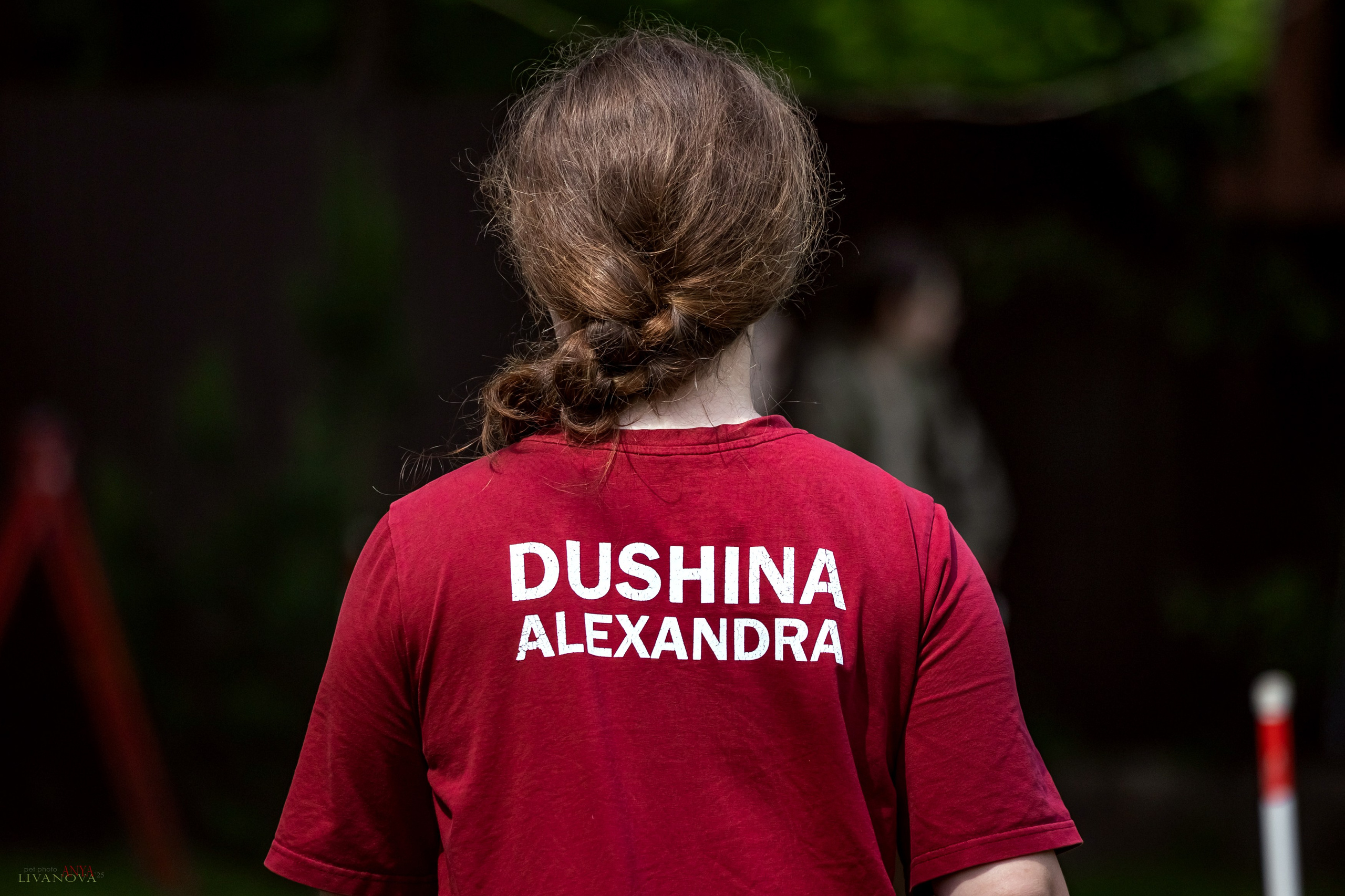 Аджилити Рыбинск. Фотограф анималист Аня Ливанова | Рыбинск