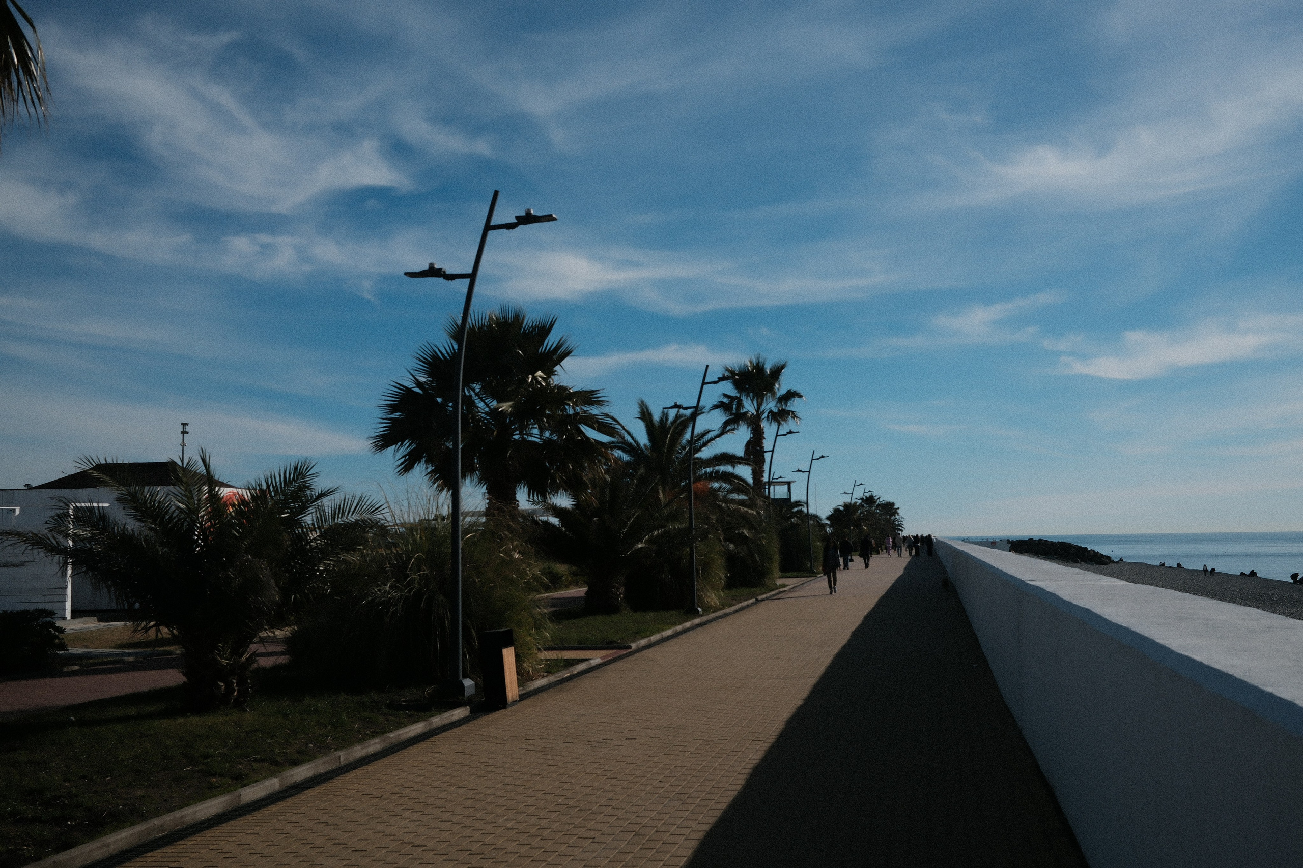 Фотографии зимнего Адлера. Алексей Торопов фотограф