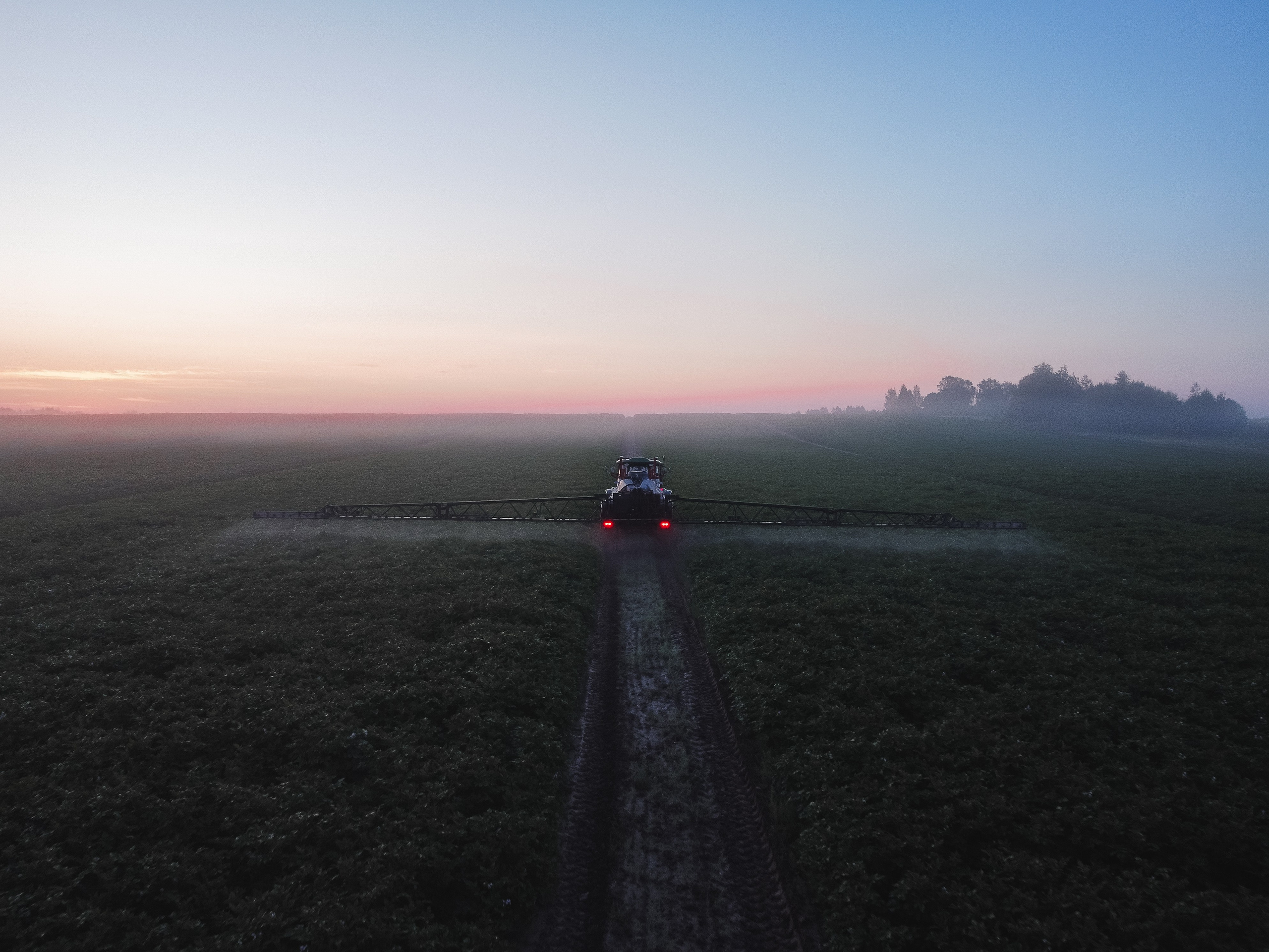 Удобрение картофеля при помощи трактора рано утром на рассвете