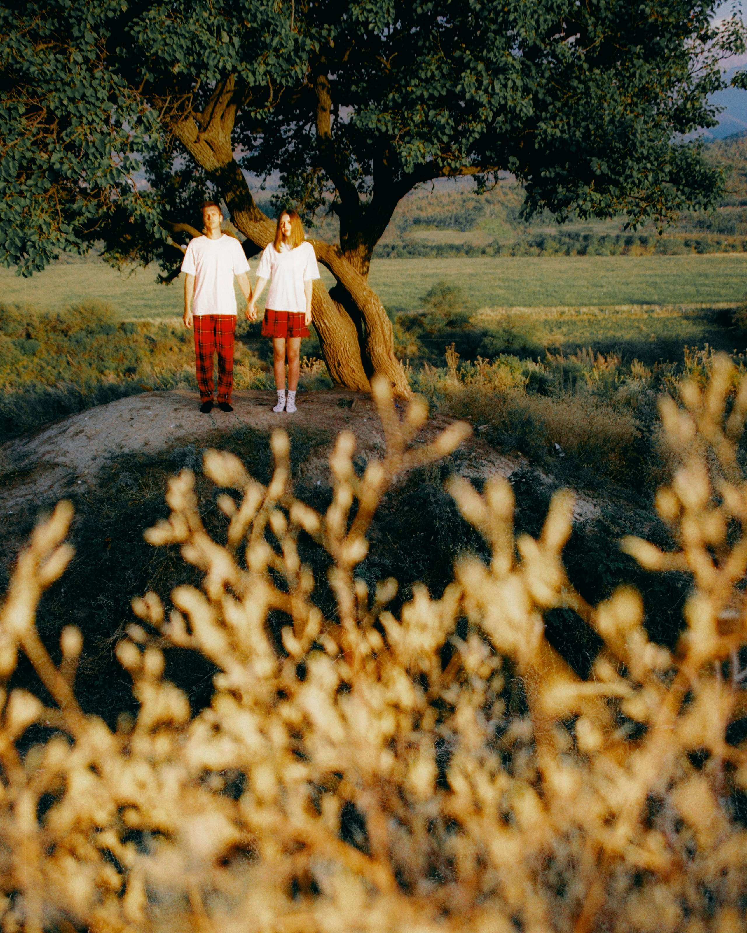 СЕГОДНЯ БУРИ НЕЖНЫ. Главная