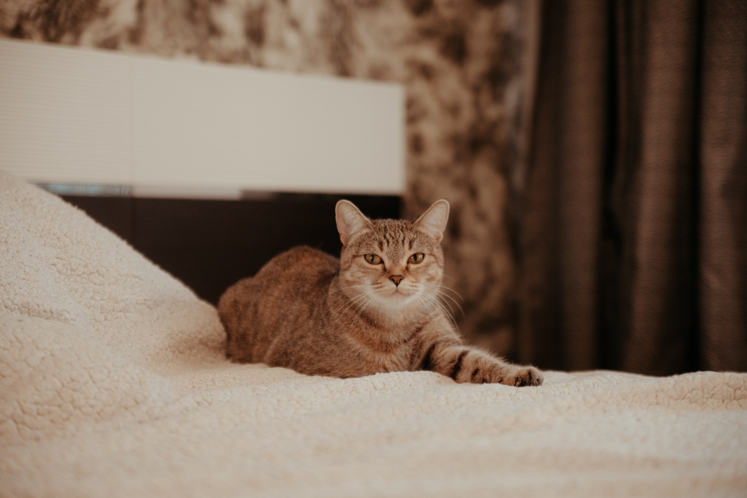 Люба и Владислав. Свадебный и детский фотограф в Волгограде Слава Белов