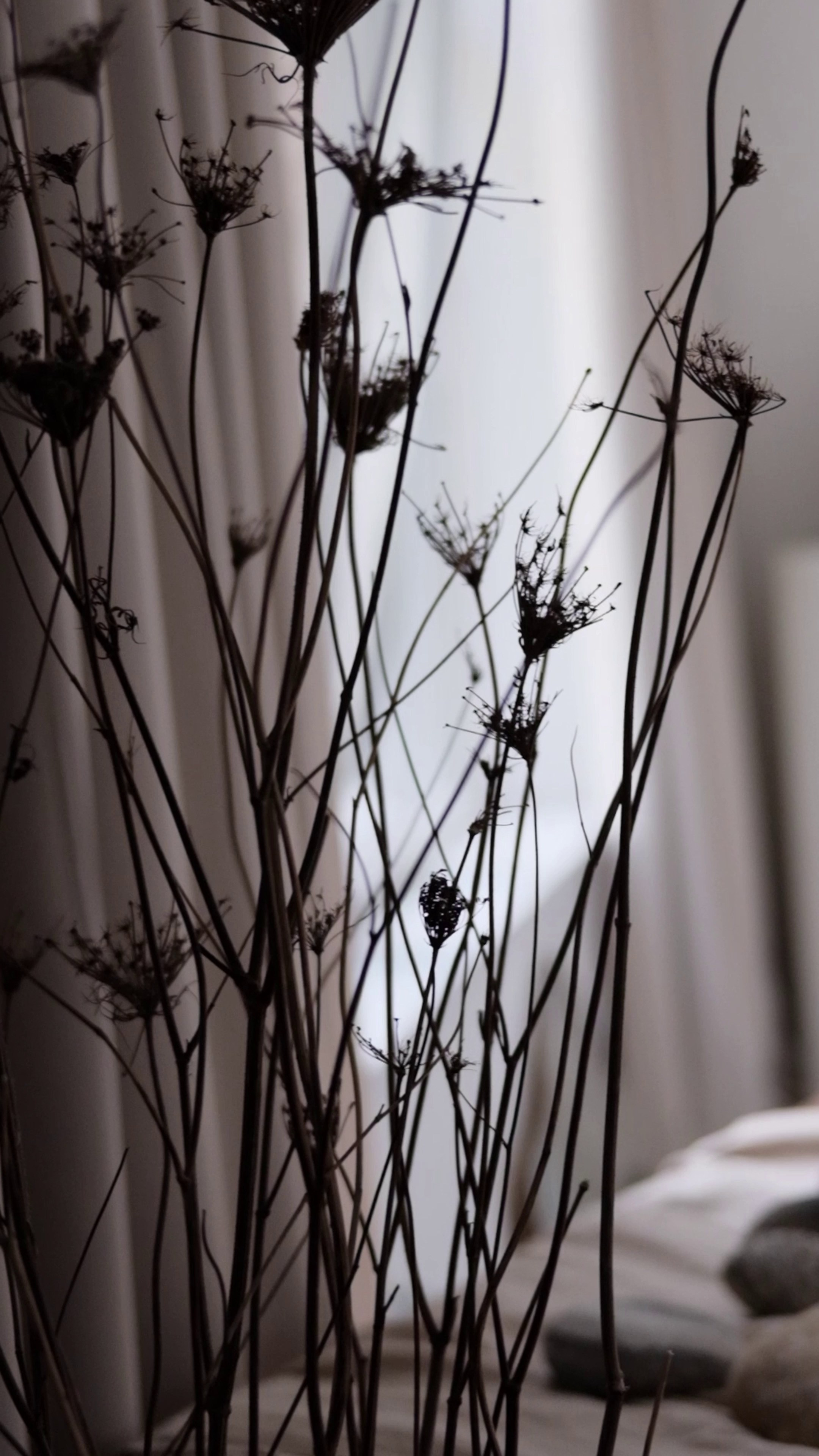 Рилс | видео. Свадебный фотограф Денис Ожигин в Краснодаре и крае. Эмоциональная и стильная съемка вашего дня