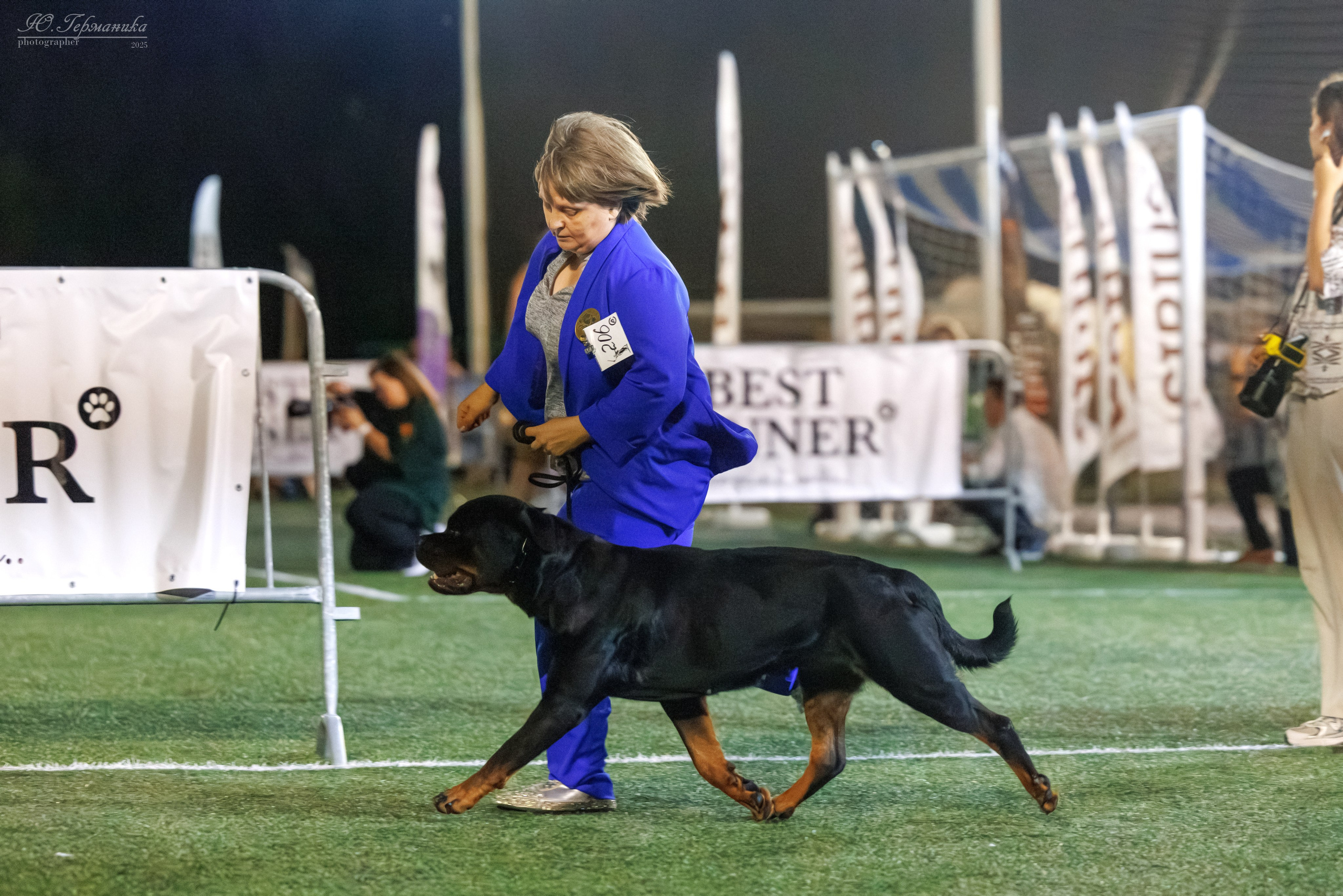 Калининград 25-27.07 Волгоград 1-3.08 2025. Фотограф-анималист Юлия Германика