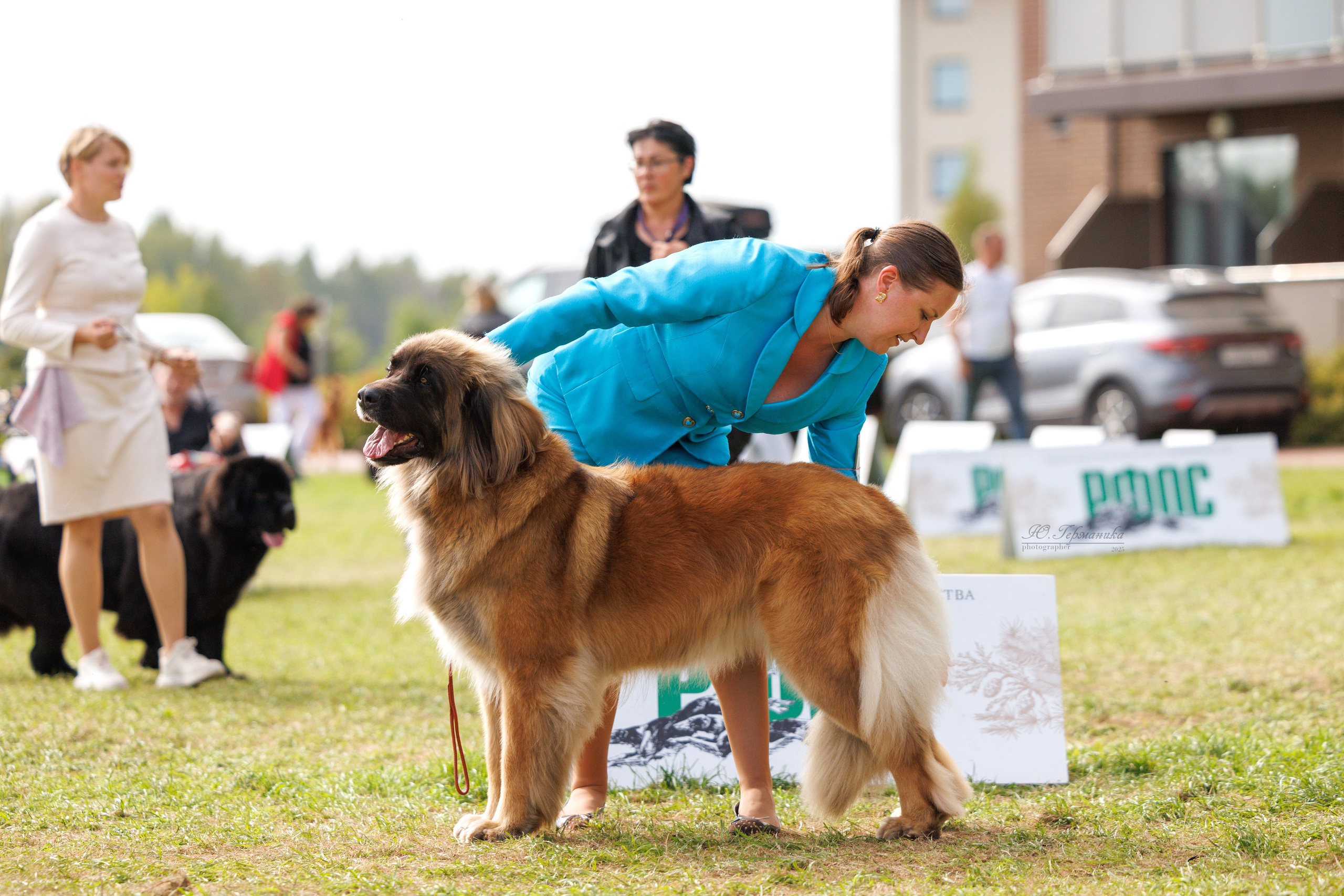 Переславль 5-7.08.2025. Фотограф-анималист Юлия Германика