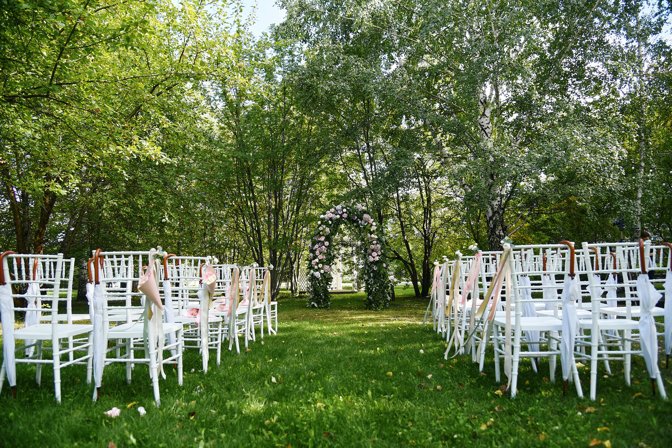 Ваш фотограф на свадьбу в Барнауле. Фотограф Опыт Качество Скорость Горный Алтай Барнаул