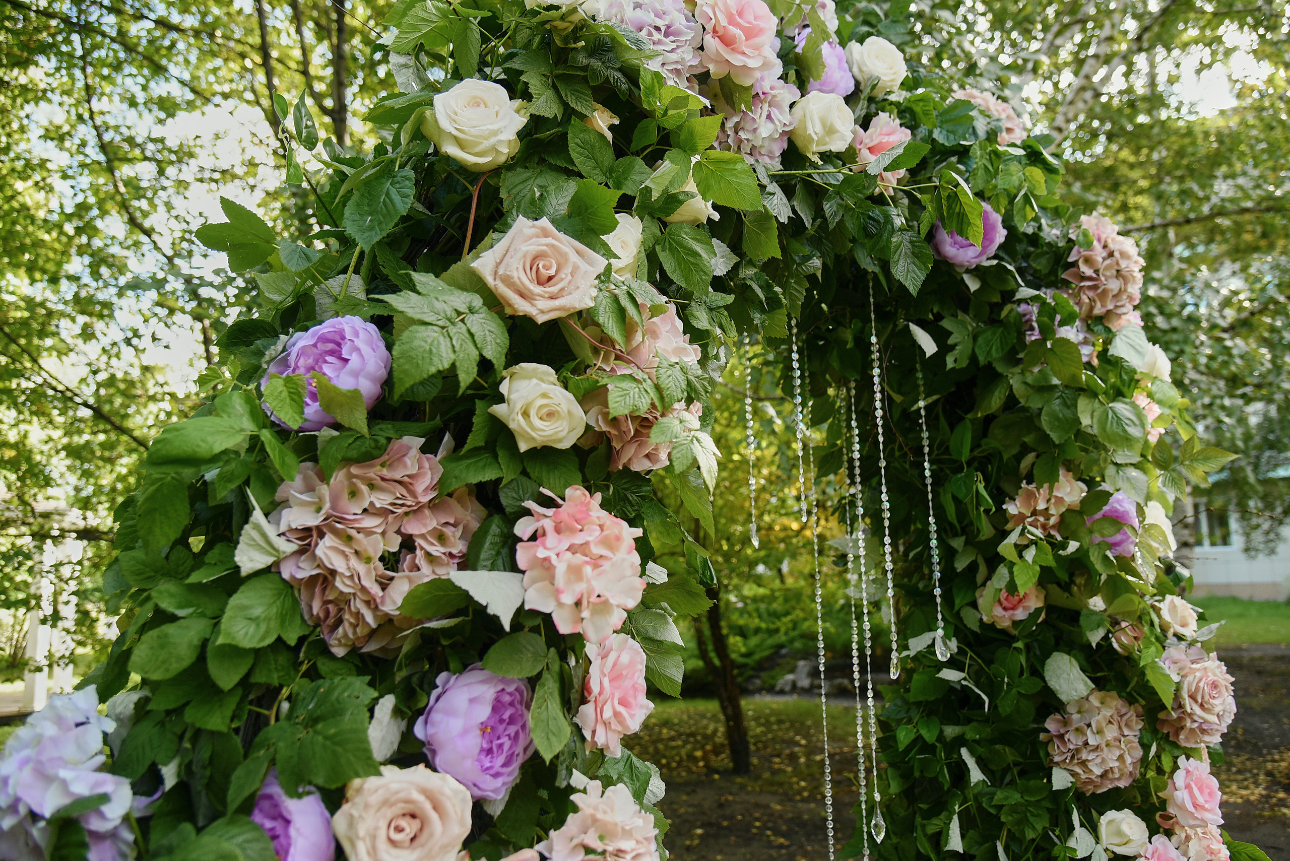 Ваш фотограф на свадьбу в Барнауле. Фотограф Опыт Качество Скорость Горный Алтай Барнаул