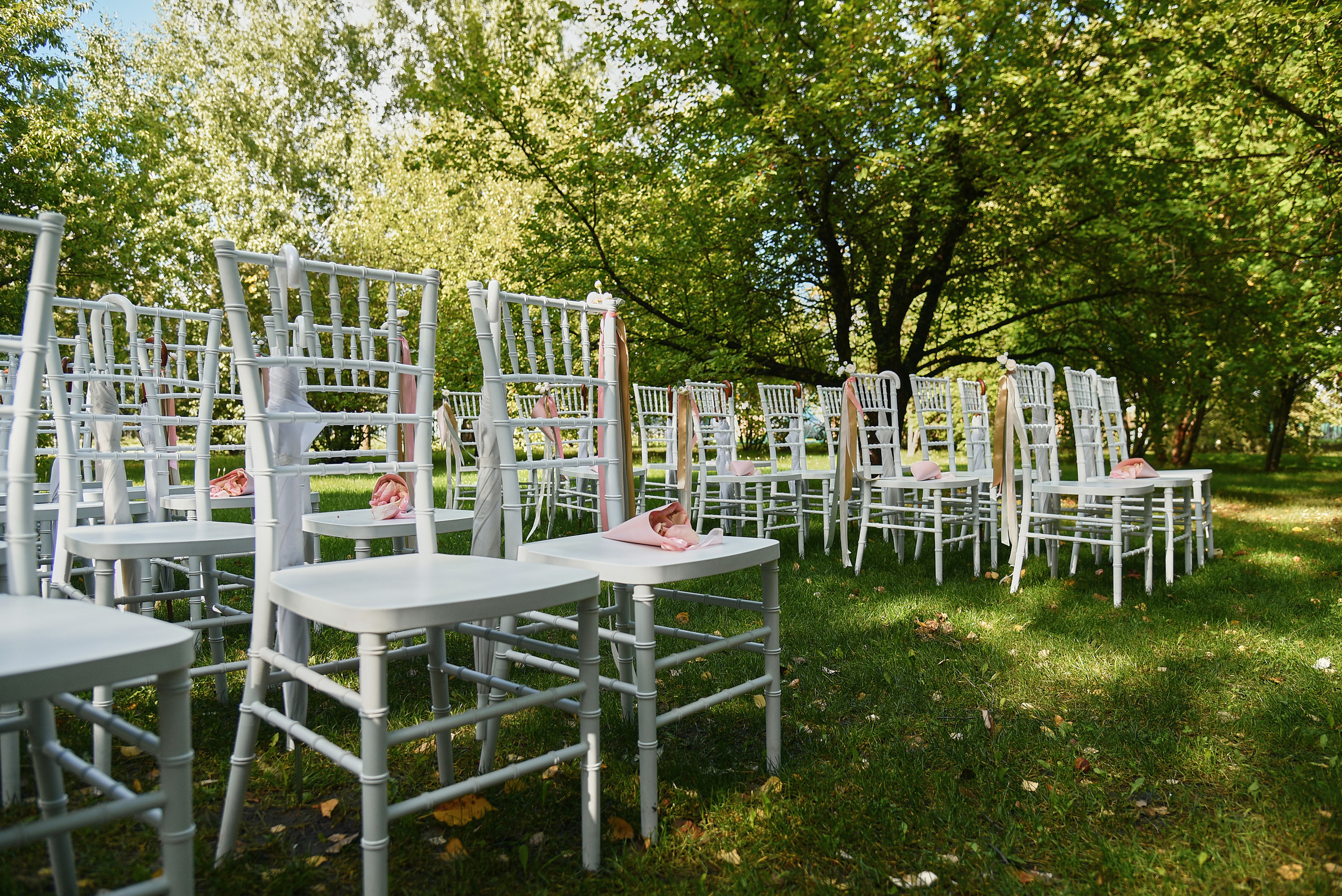 Ваш фотограф на свадьбу в Барнауле. Фотограф Опыт Качество Скорость Горный Алтай Барнаул