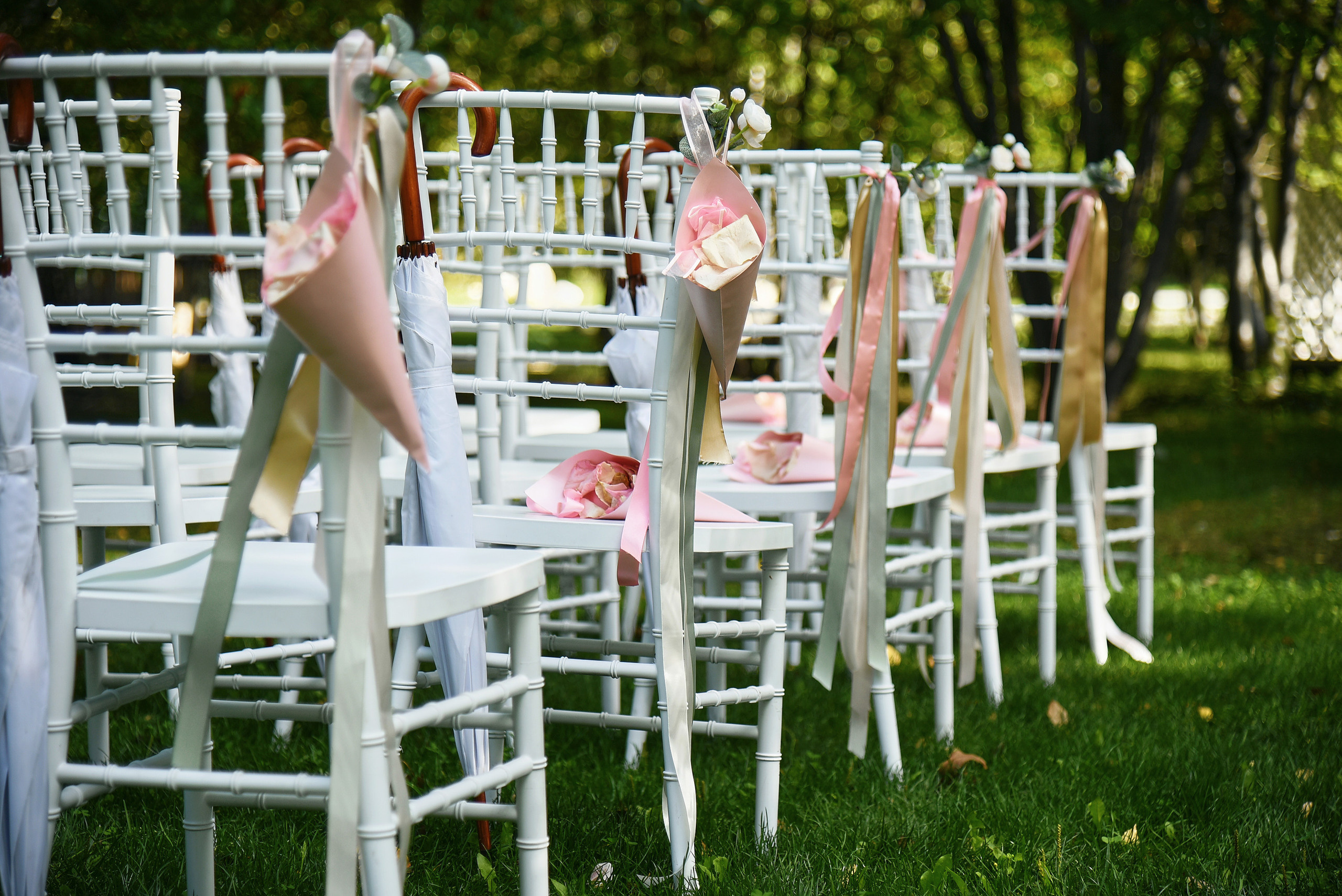 Ваш фотограф на свадьбу в Барнауле. Фотограф Опыт Качество Скорость Горный Алтай Барнаул