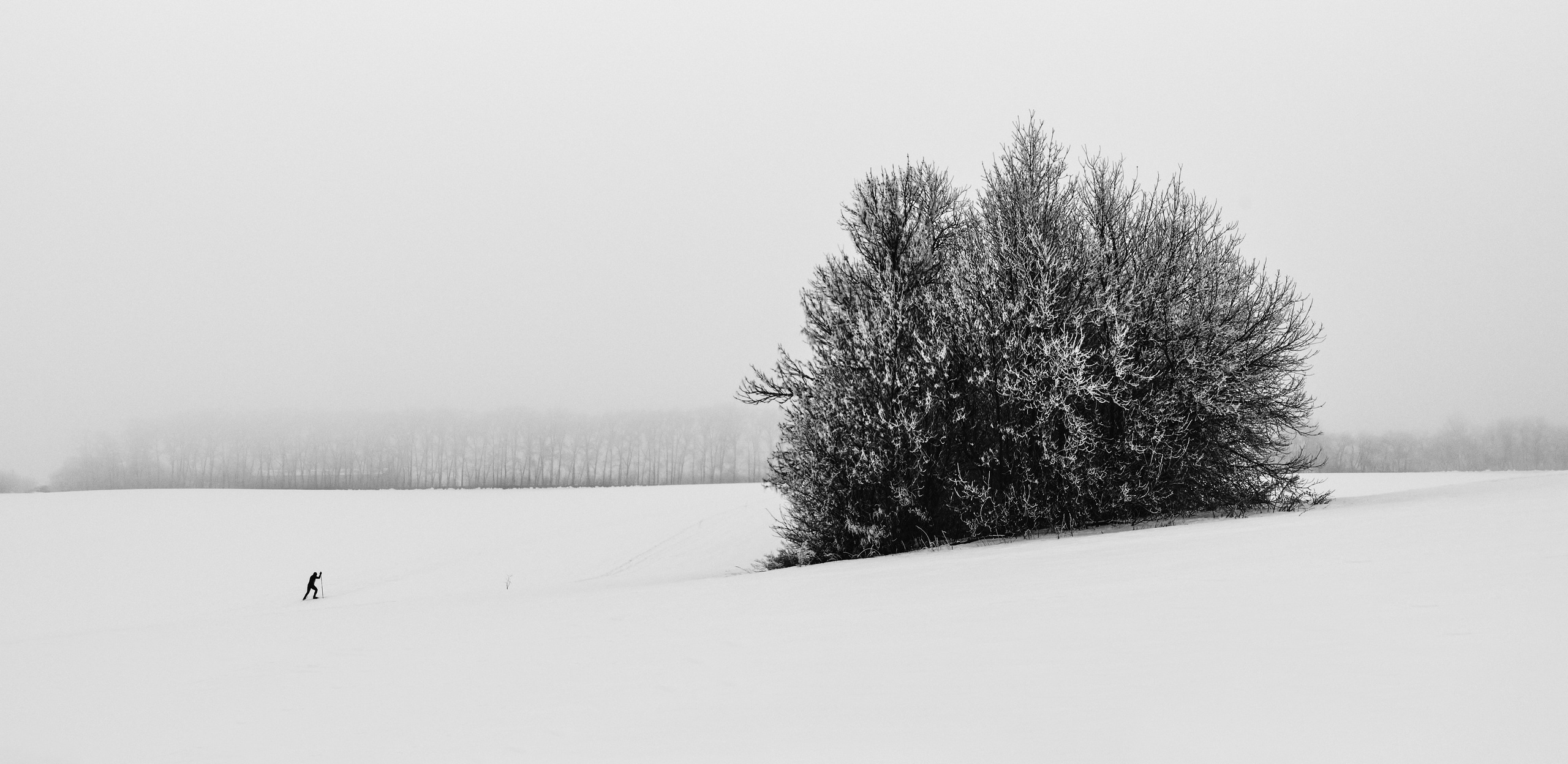 ЧБ. Фотограф-любитель из Кирова Андрей Погребняк