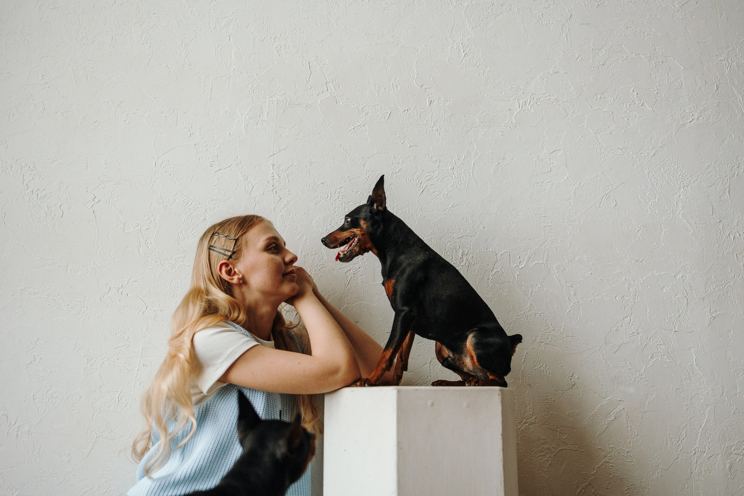 Катя и ее мальчики. Фотограф — Анималист | Санкт-Петербург