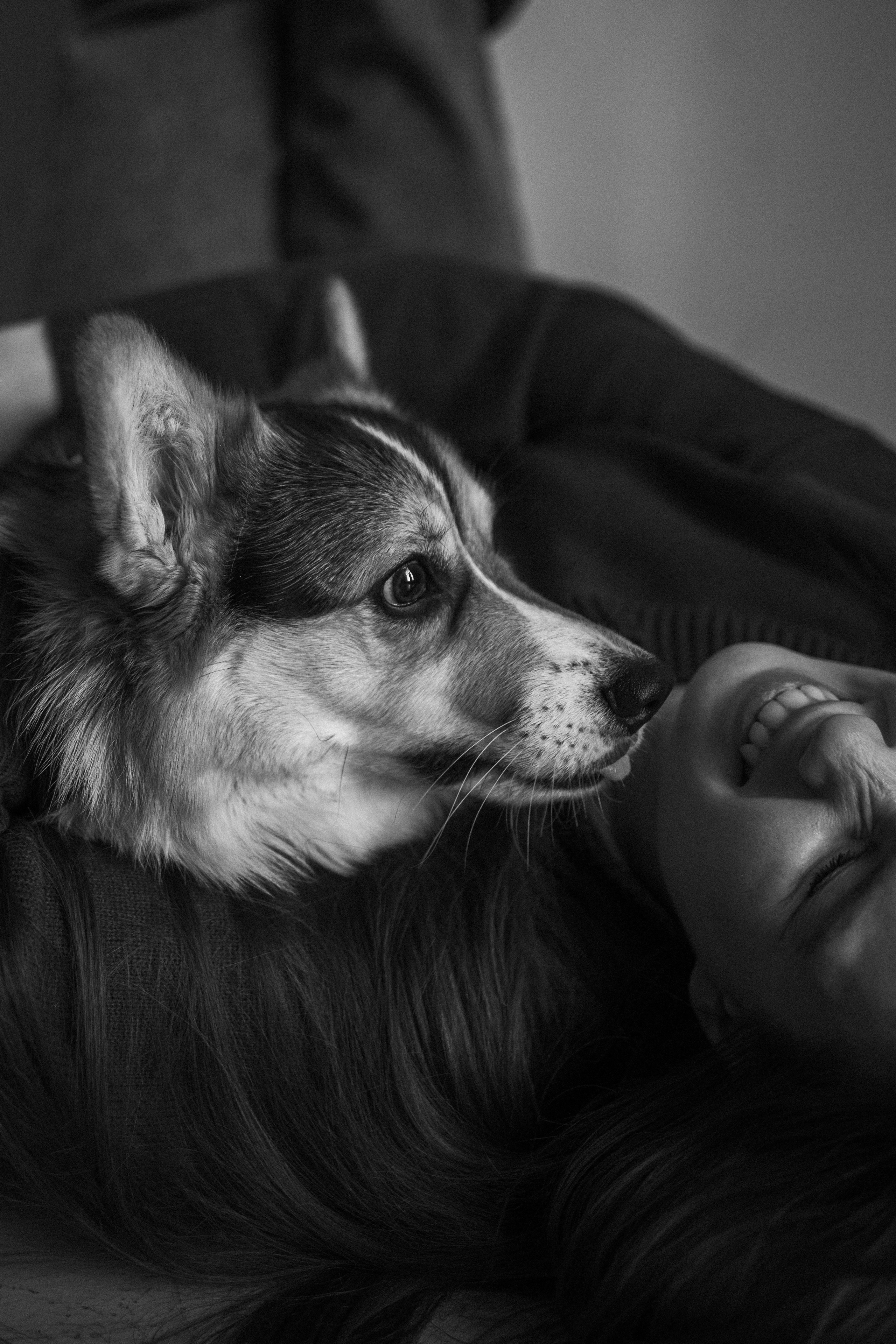 Настя и Коржик. Фотограф — Анималист | Санкт-Петербург