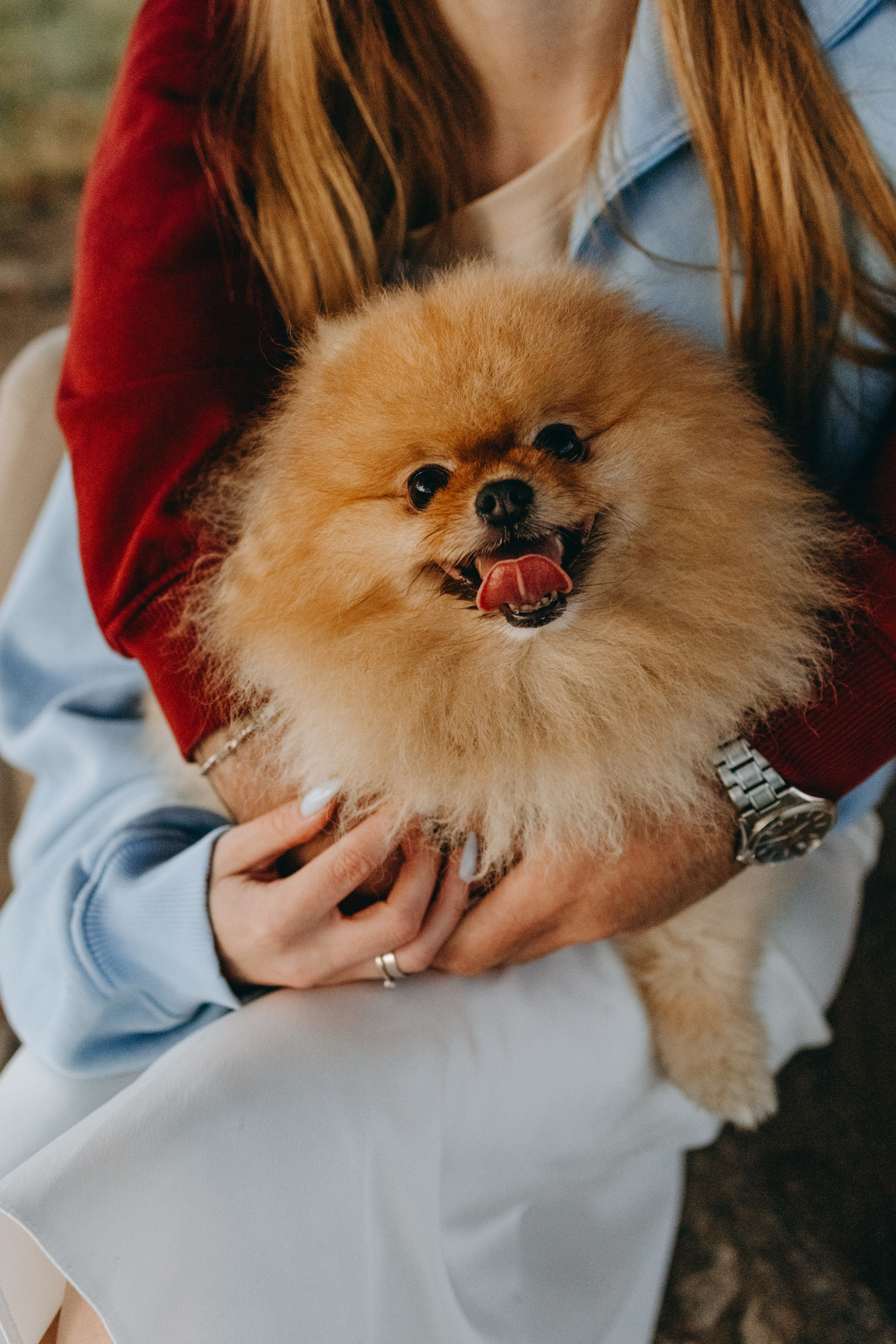 Стив и его семья. Фотограф — Анималист | Санкт-Петербург