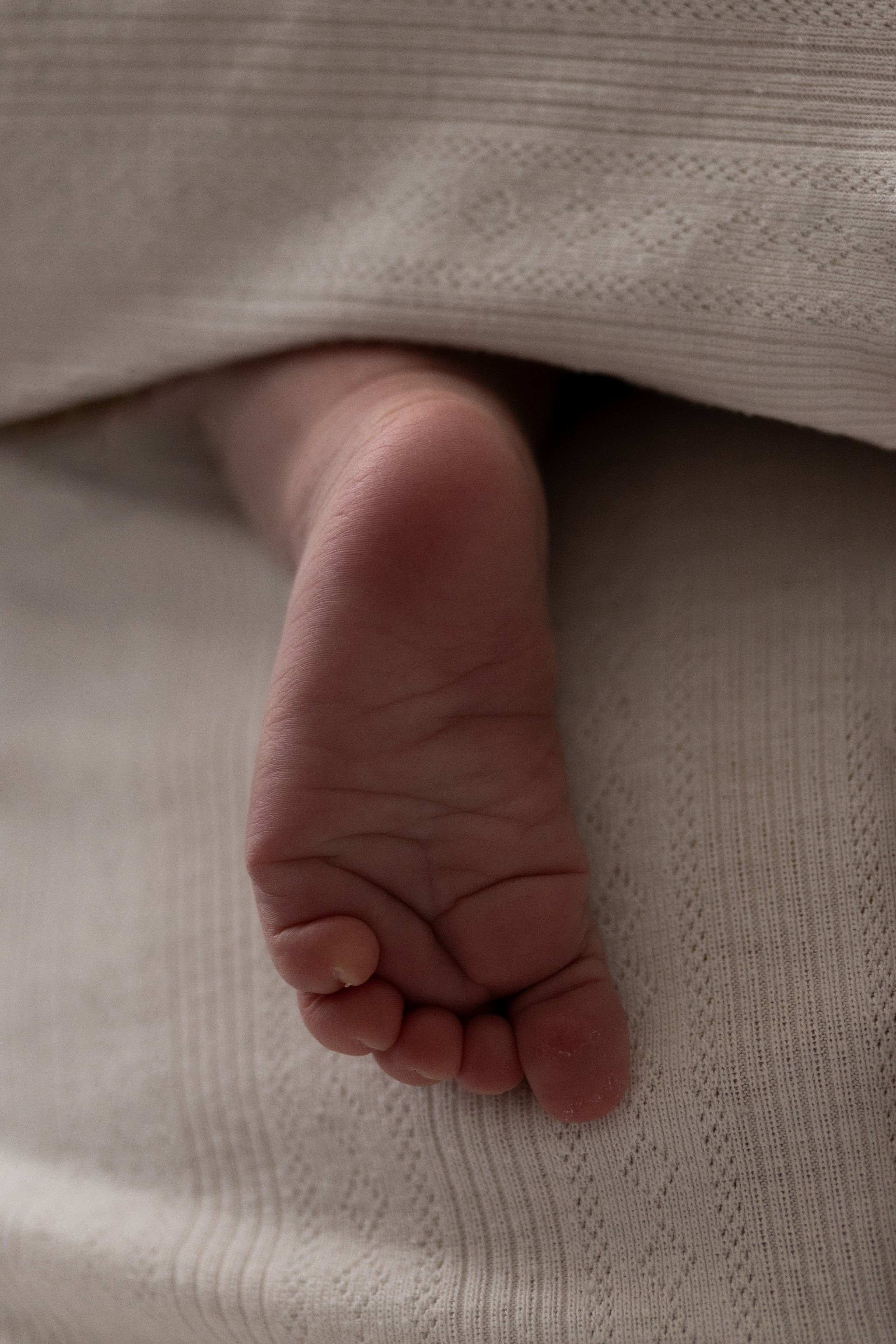 Саша, Рома и Костя. Свадебный фотограф | Москва