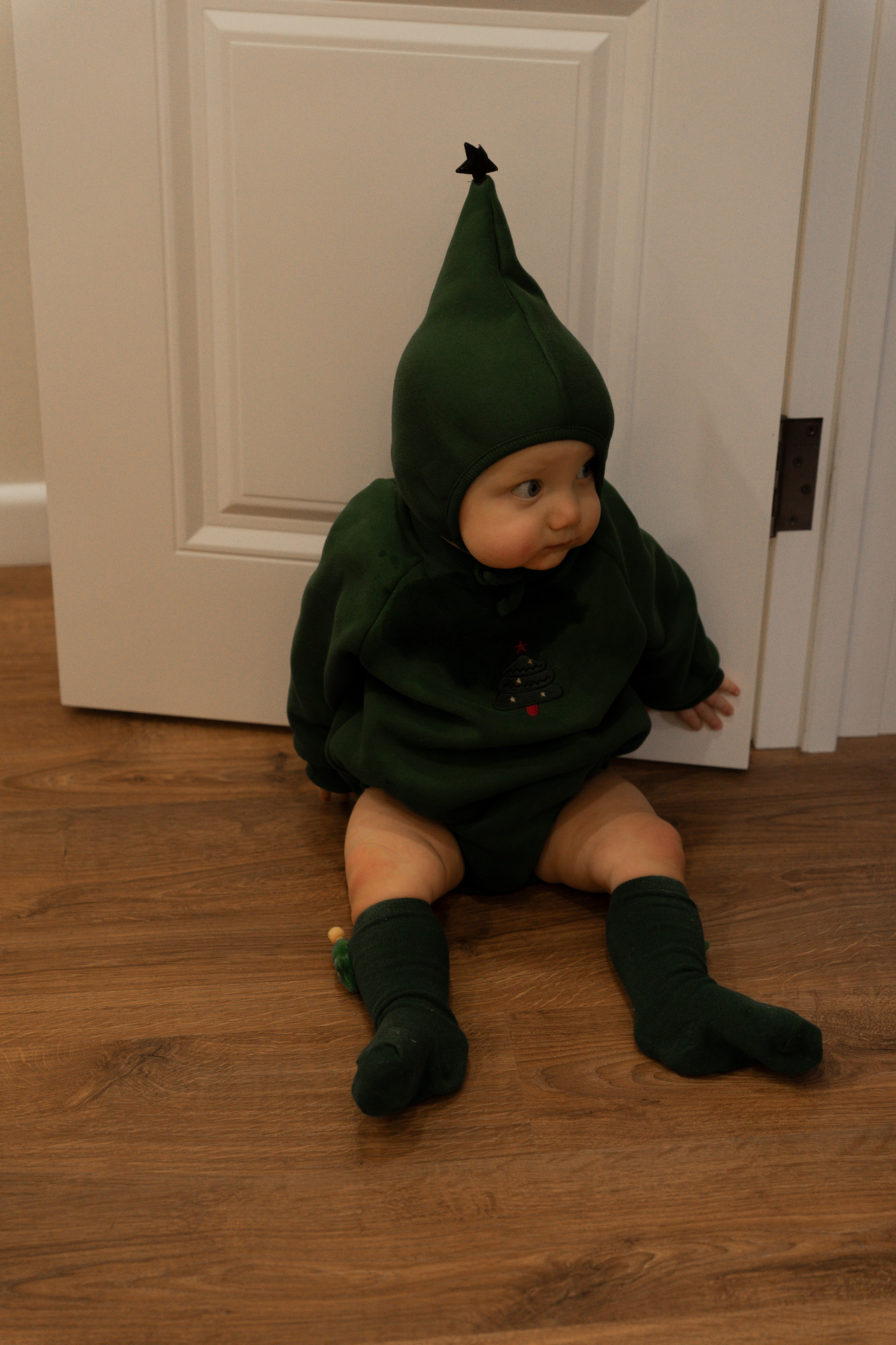 Новогодние тройняшки. Главная