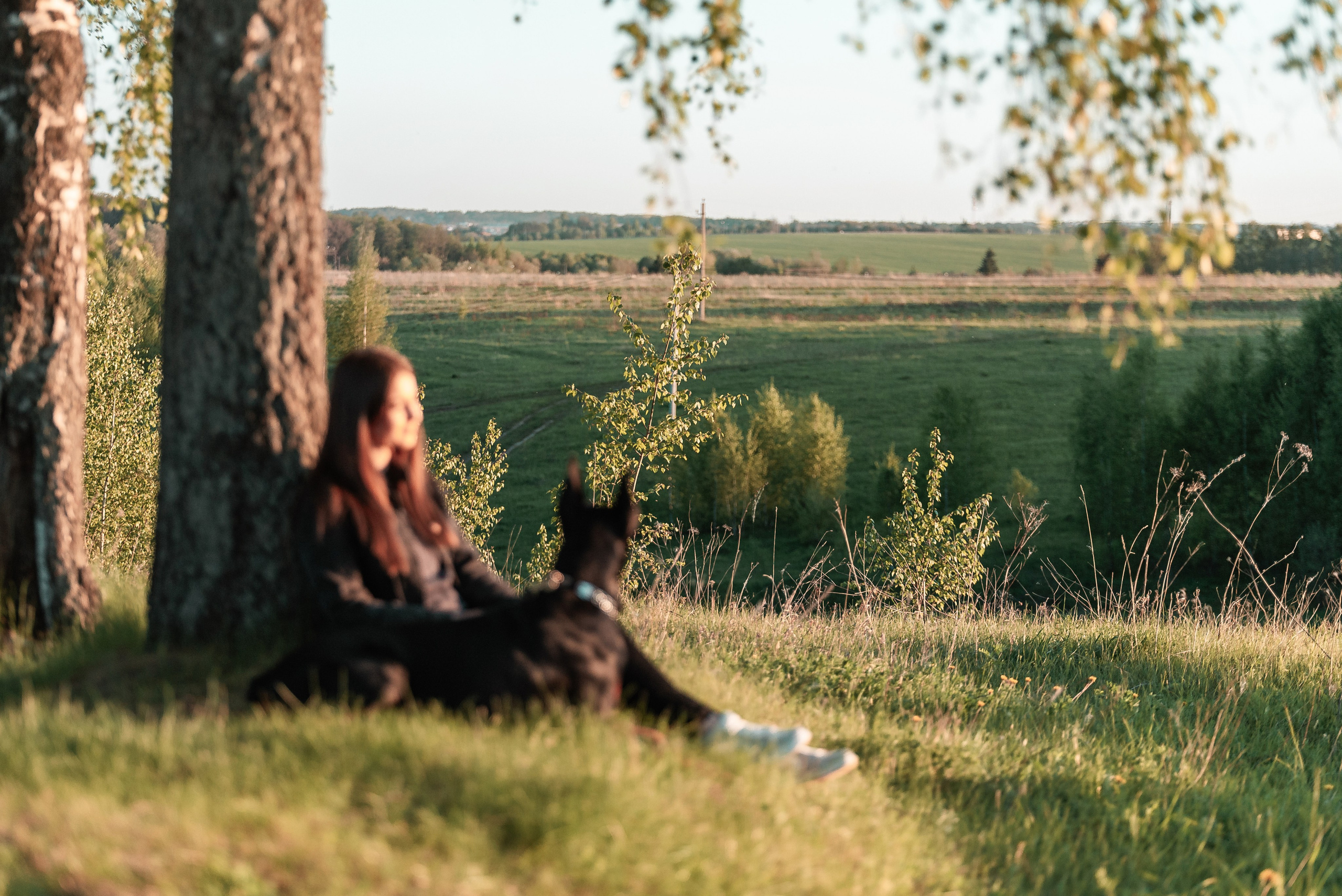 Юля, Андрей и Арес. Фотограф-анималист Анастасия Парфенова|Екатеринбург