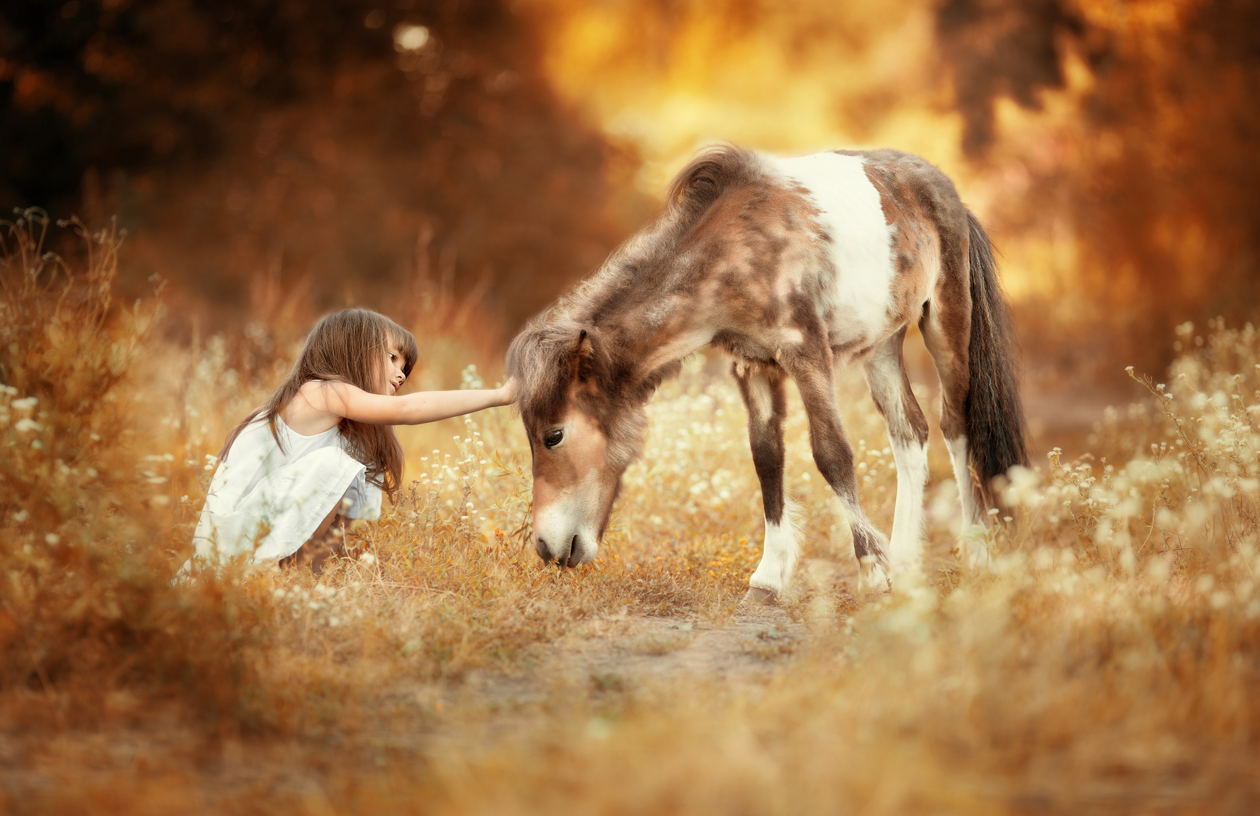 Портфолио. Карнеева Елена. Детский, семейный фотограф