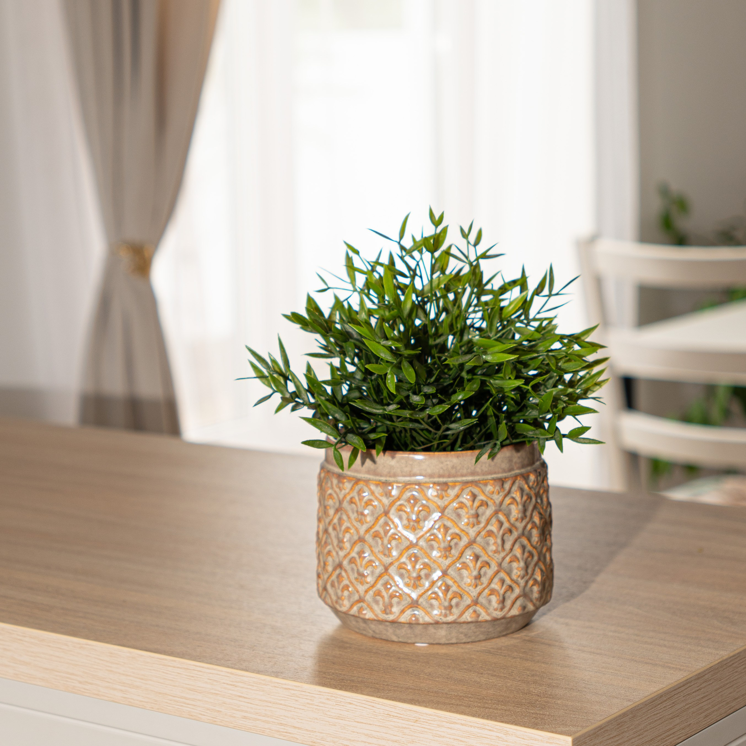 Кашпо керамические. Фотограф в Екатеринбурге Яна Круташова