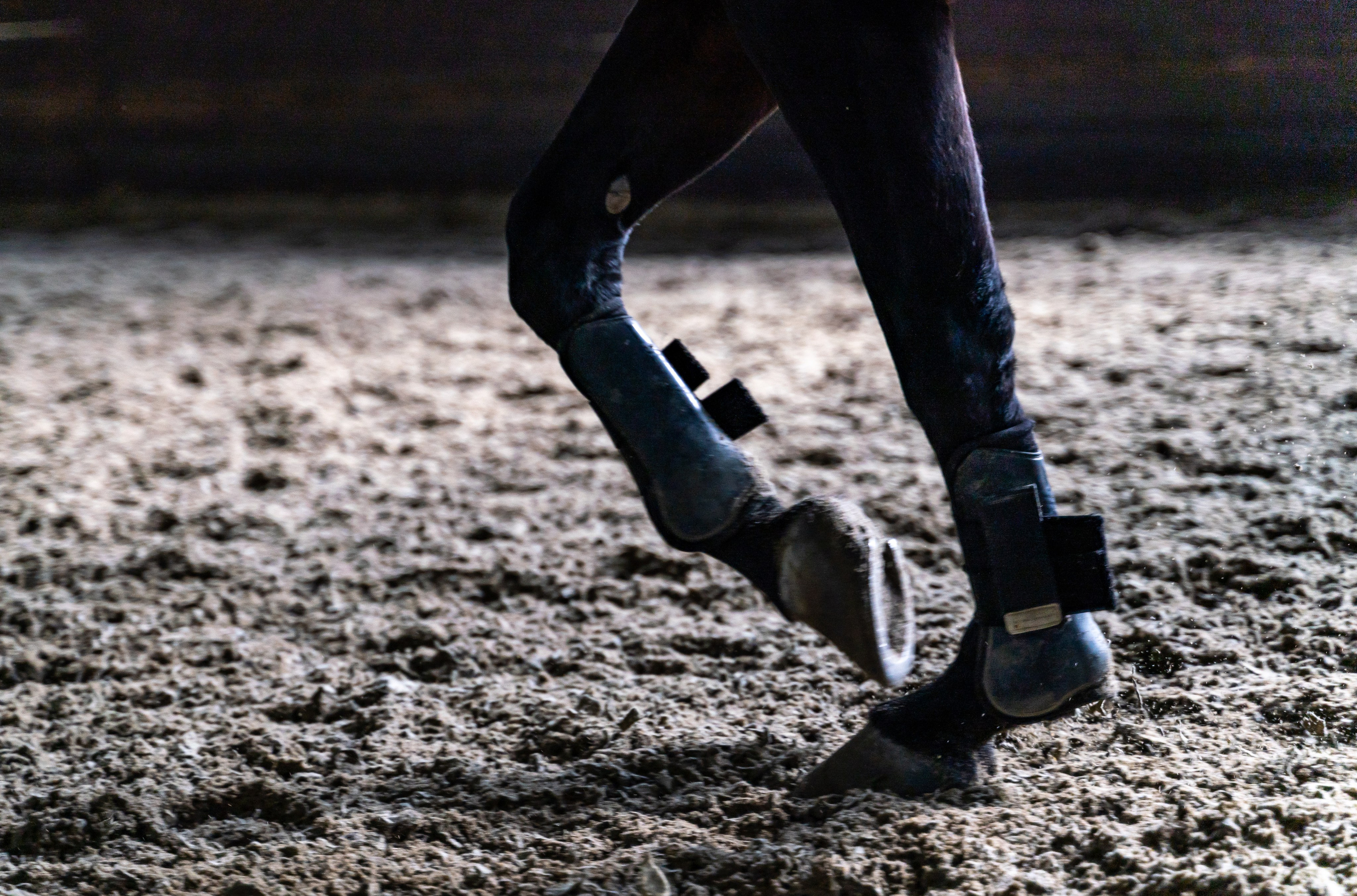 Верховая езда. Репортажный фотограф в Красной Поляне и Сочи Павлюченко Екатерина