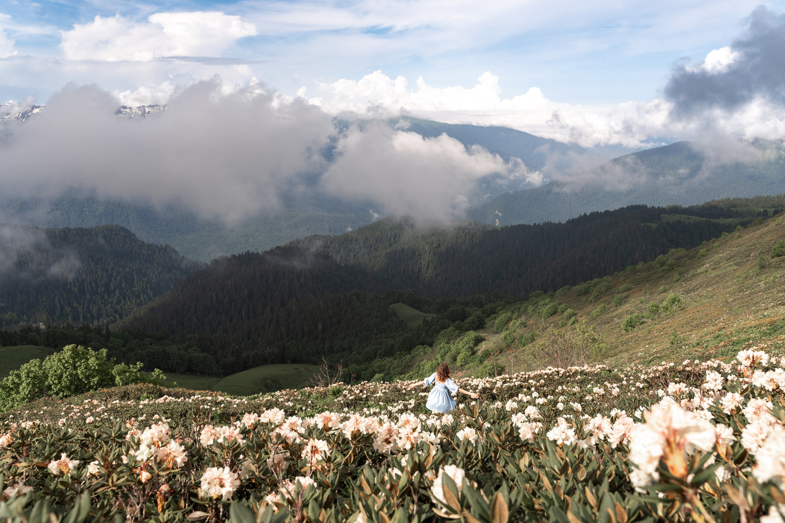 Анна. Репортажный фотограф в Красной Поляне и Сочи Павлюченко Екатерина