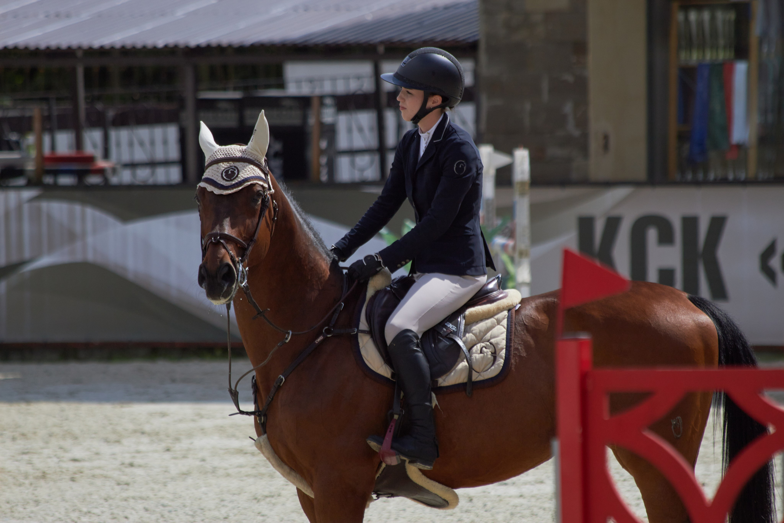 Конкур в «Виват, Россия». Фотограф анималист — Тула, Москва