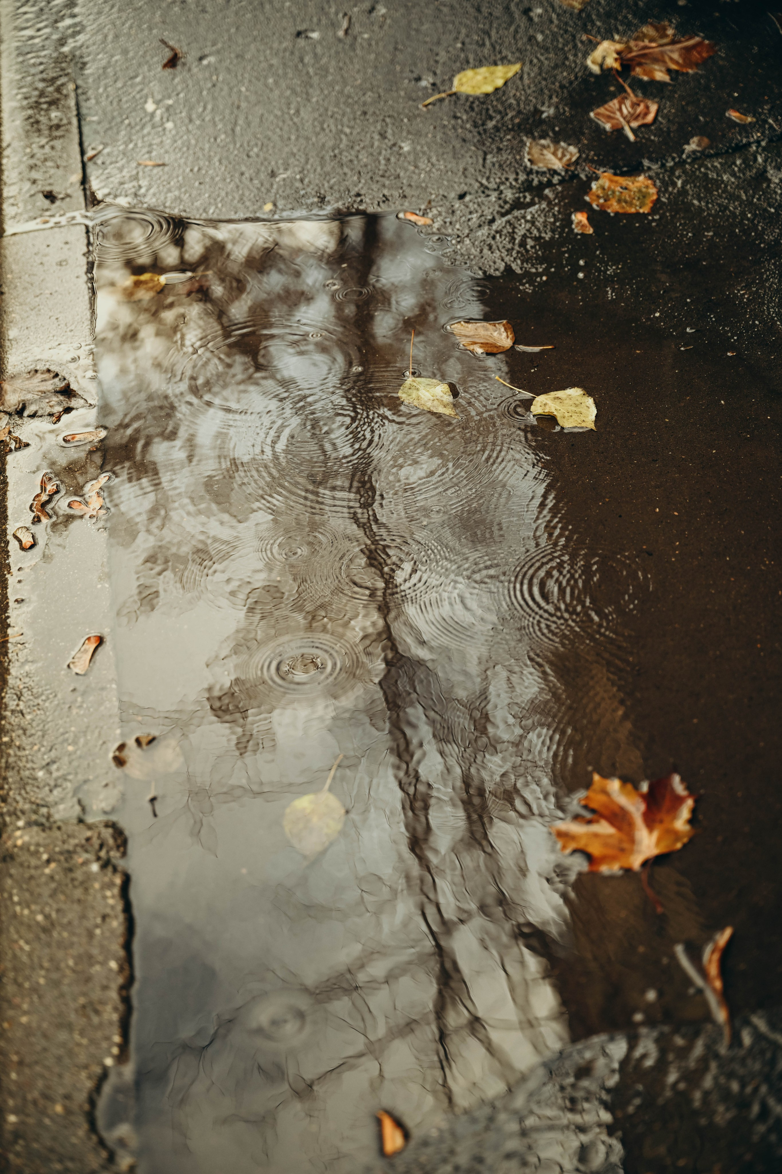 Марина и Женя любовь в городе. Семейный фотограф Москва-Воронеж Ирина Вронская
